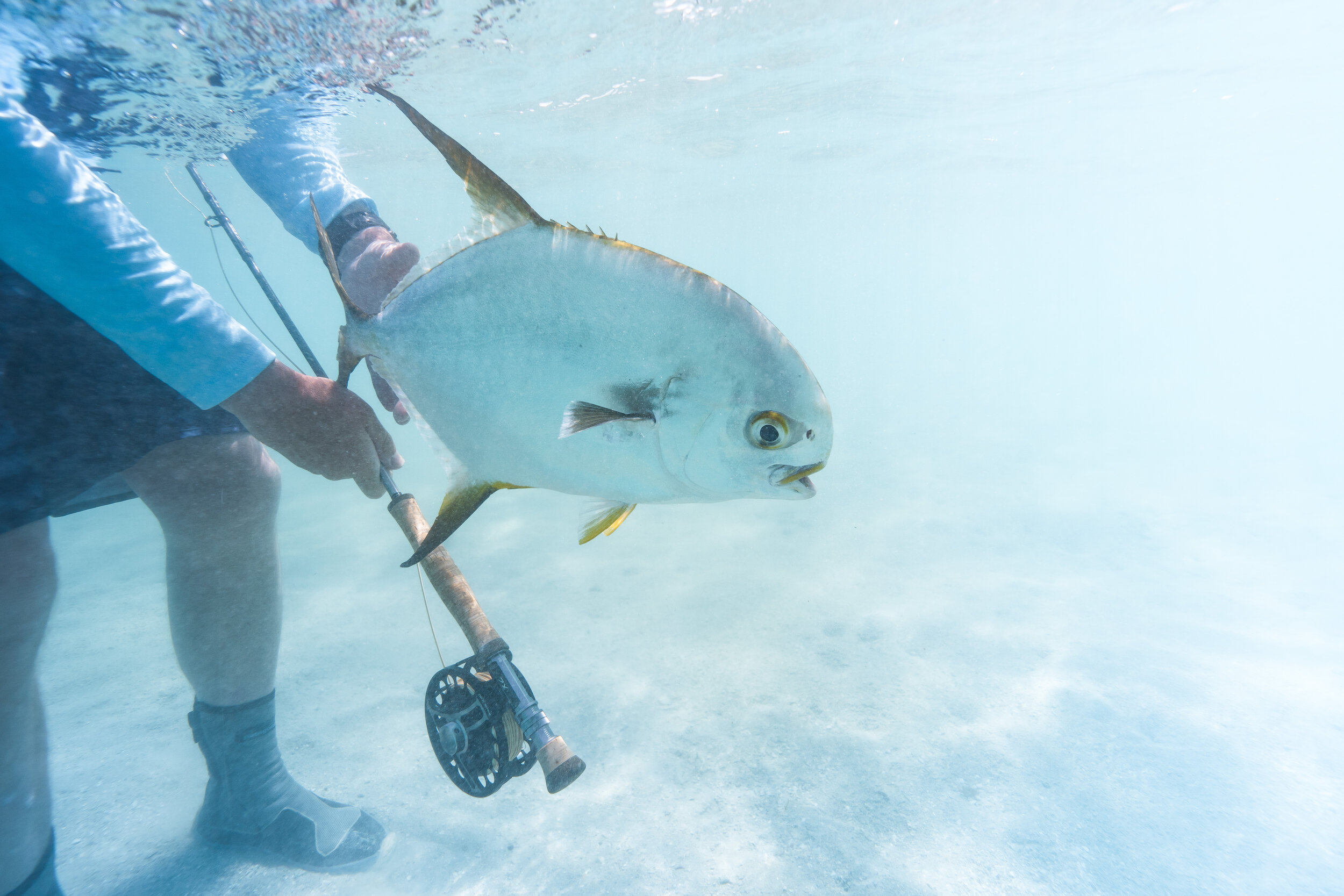 Downunder - East Cape York @aussieflyfisher-09318.jpg