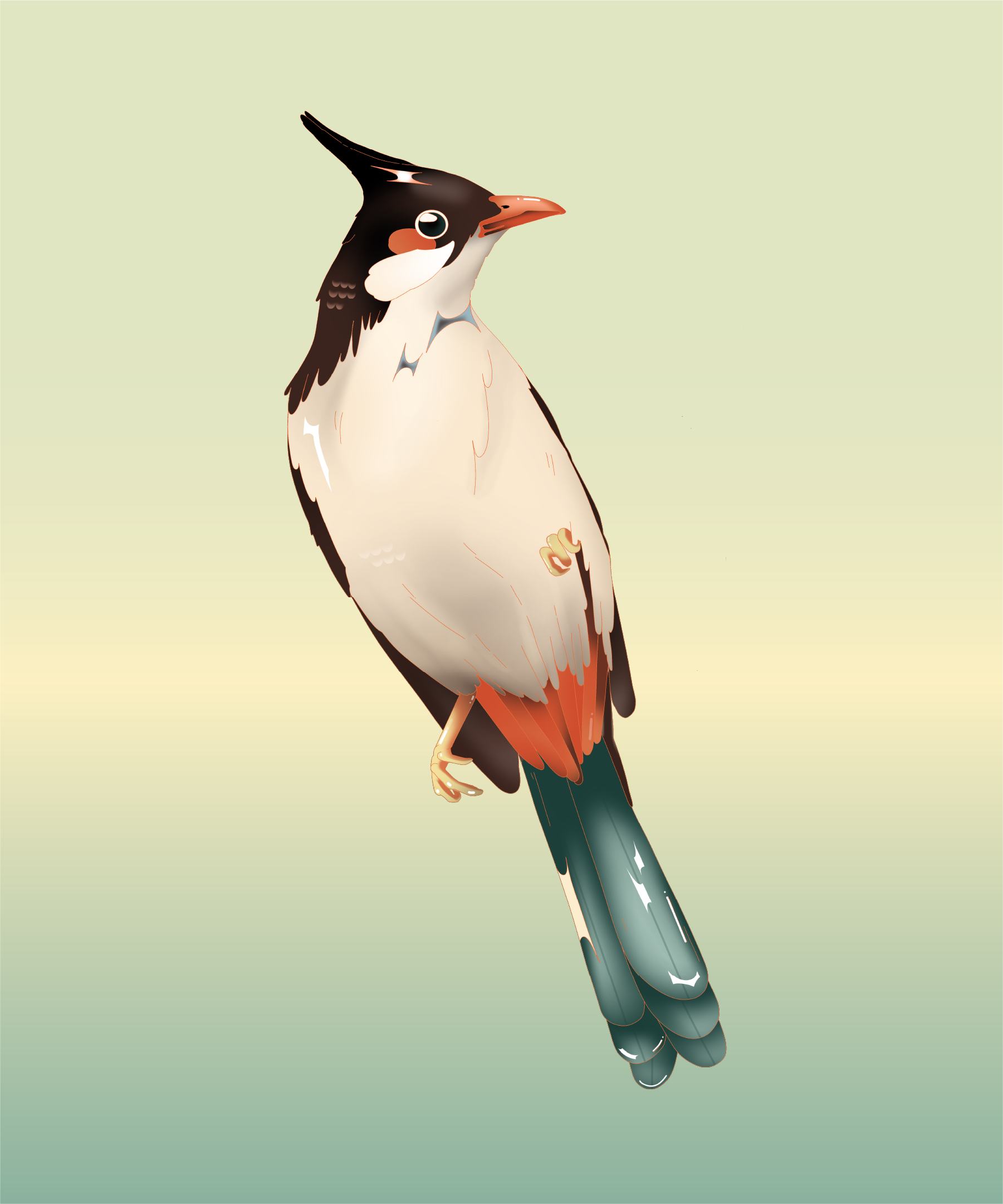 Punthai_elements-04.png