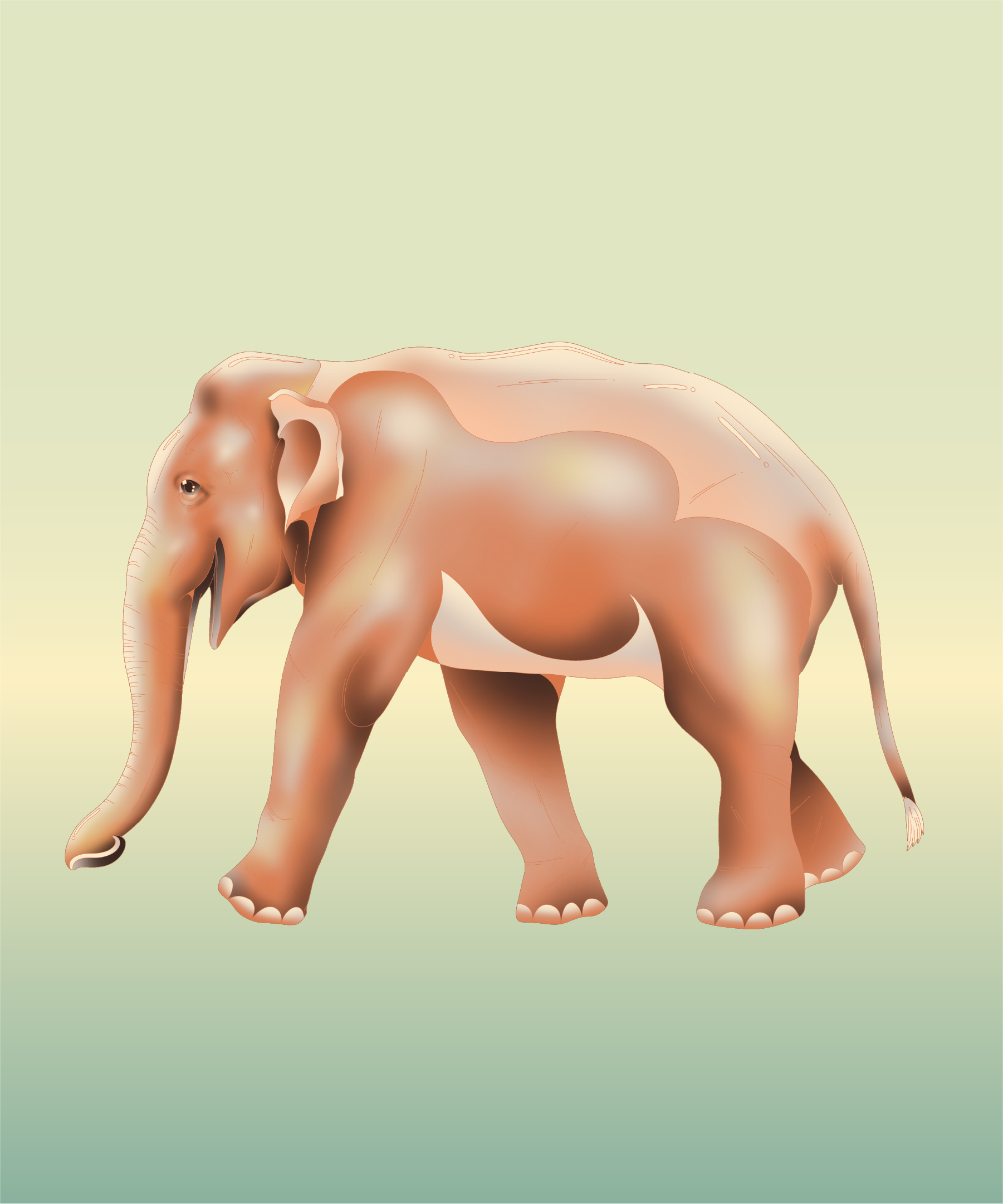 Punthai_elements-07.png