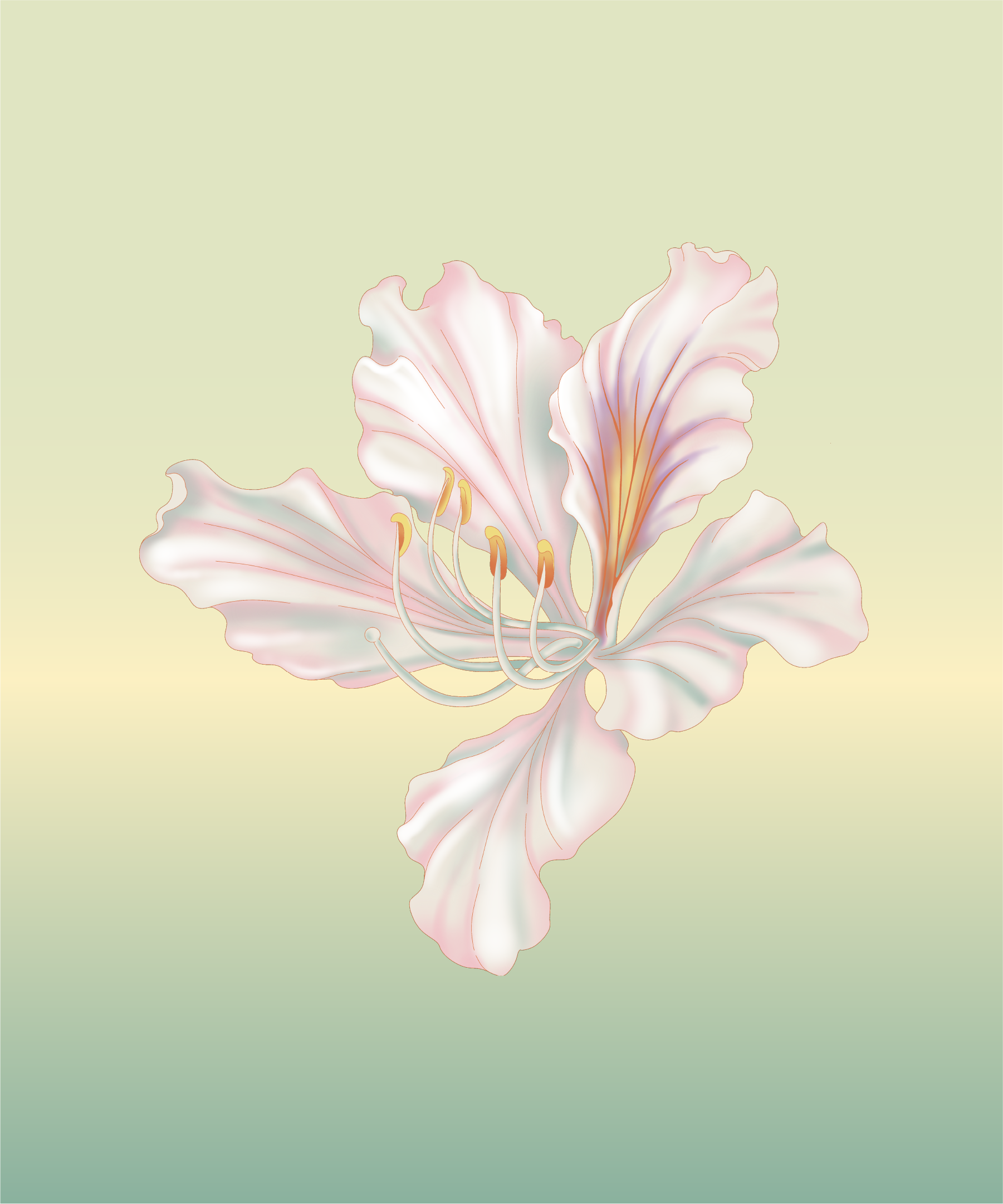 Punthai_elements-05.png