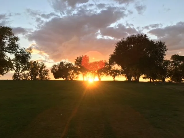 Tree of Life Guided Meditation