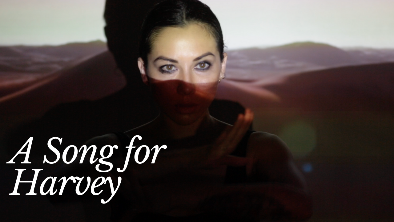 A Song for Harvey - Torii Wolf 