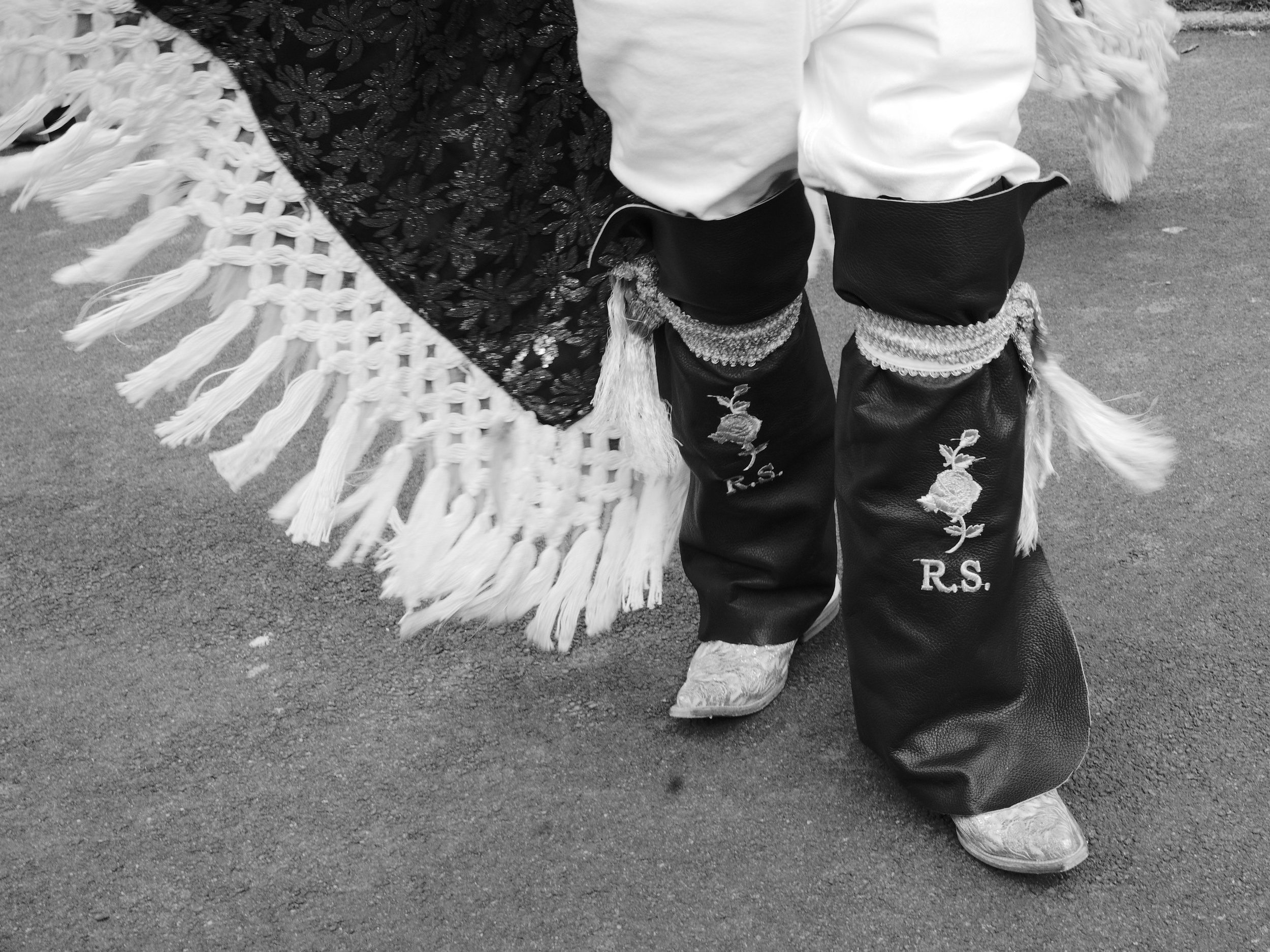 L1009985.jpg