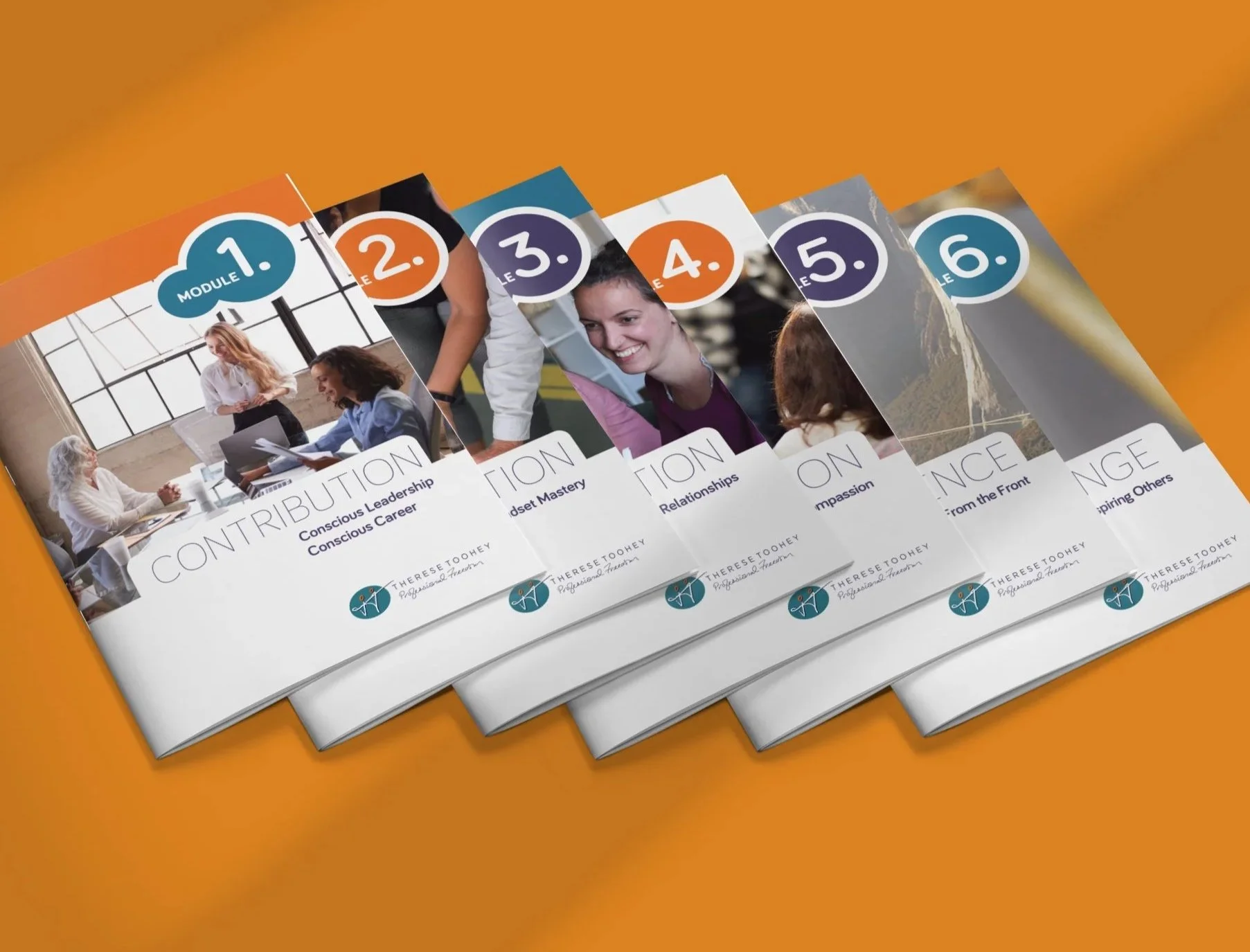 therese-toohey-professional-freedom-brochure-designed-by-prue-mitchell-pm3-art-design-byron-bay