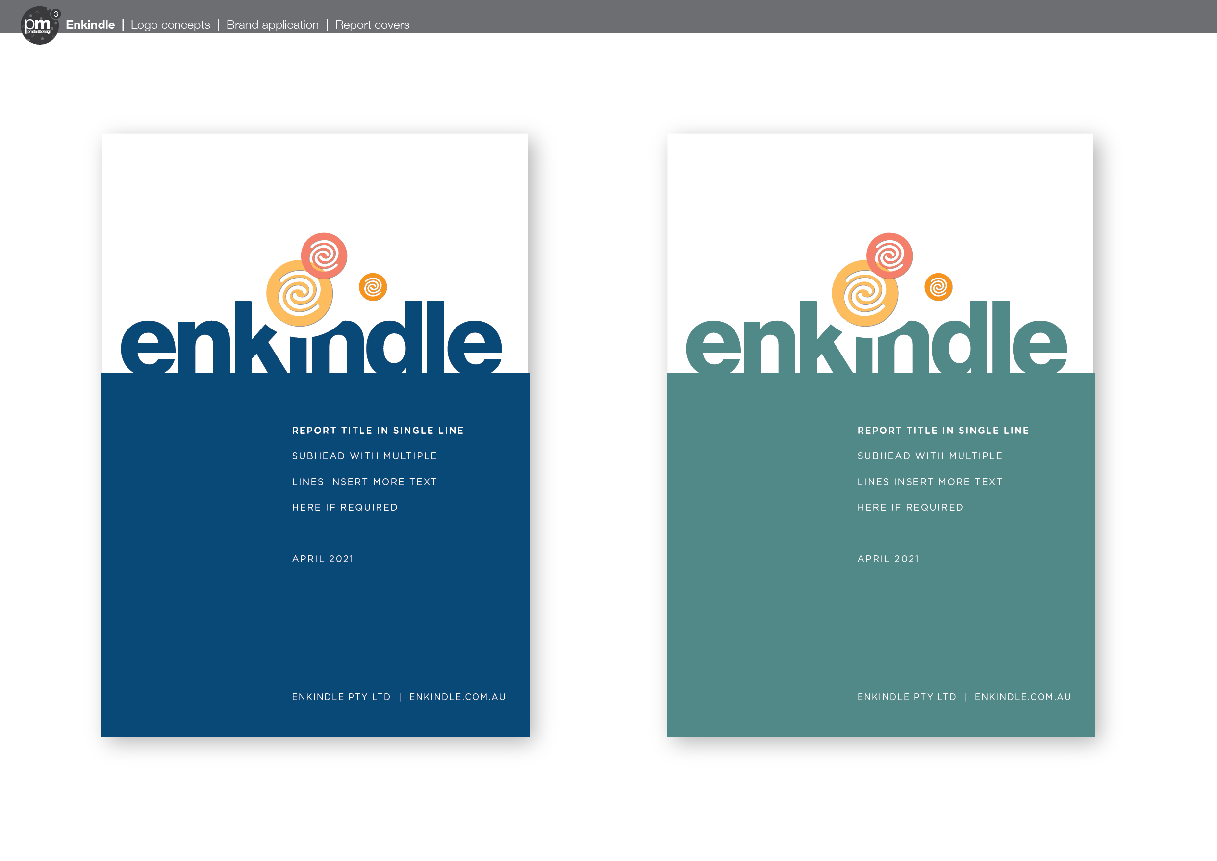 Enkindle pres_23 report covers.png