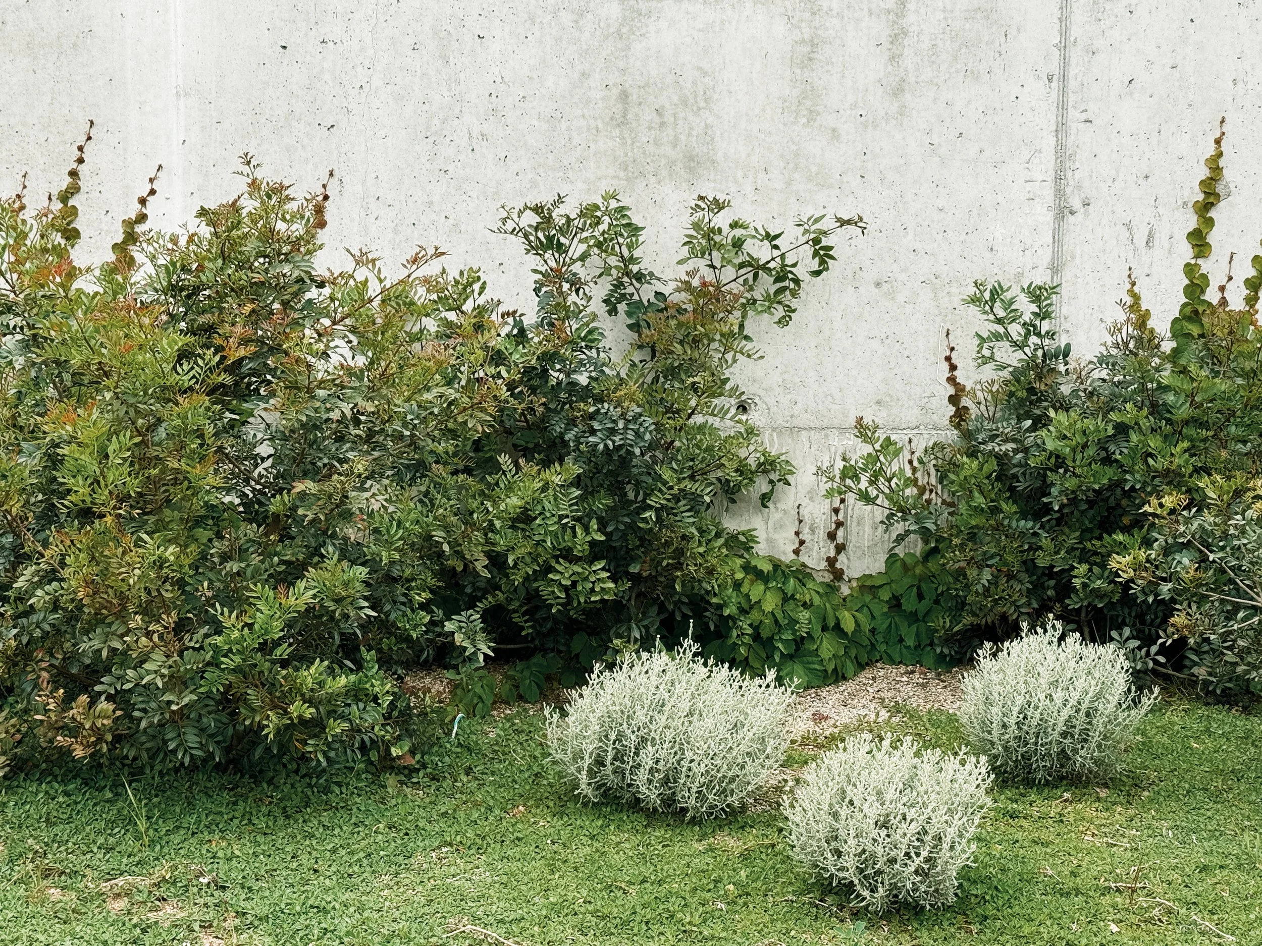 JoanMa Roig Paisajista Paisatgista Jardin Can Girona Sitges Barcelona20.jpg