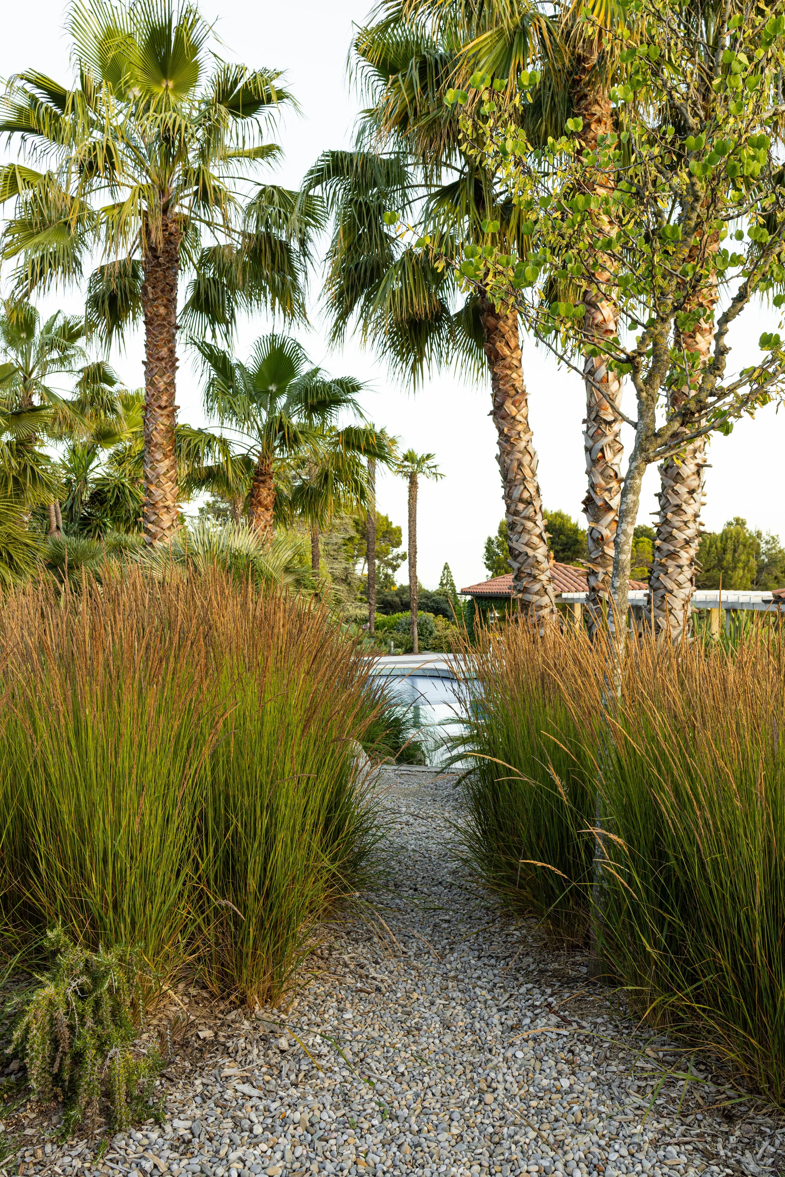 JoanMa Roig Paisajista Jardin Matadepera Barcelona28.jpg