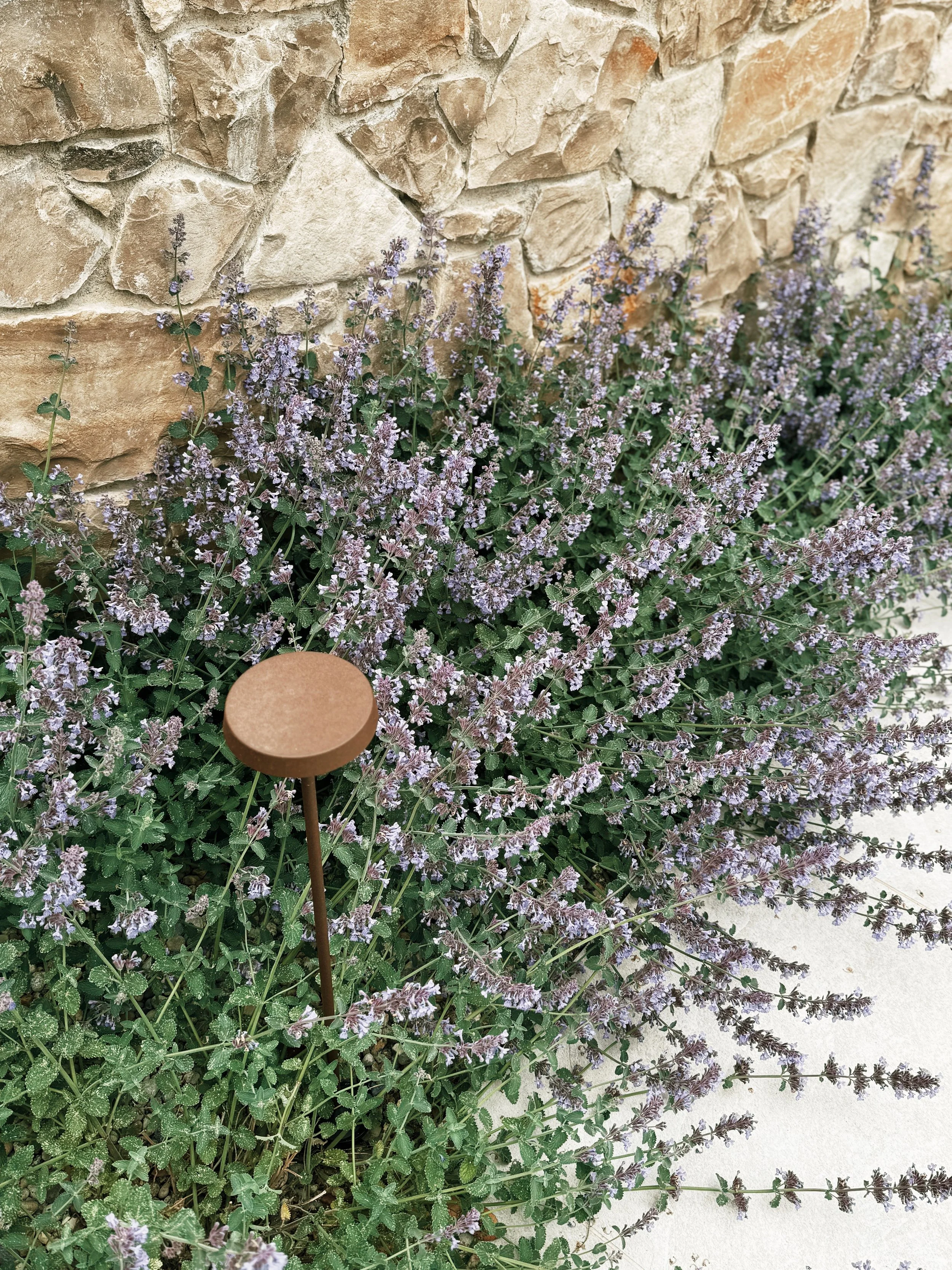 JoanMa Roig Paisajista Paisatgista Jardin Can Girona Sitges Barcelona3.jpg