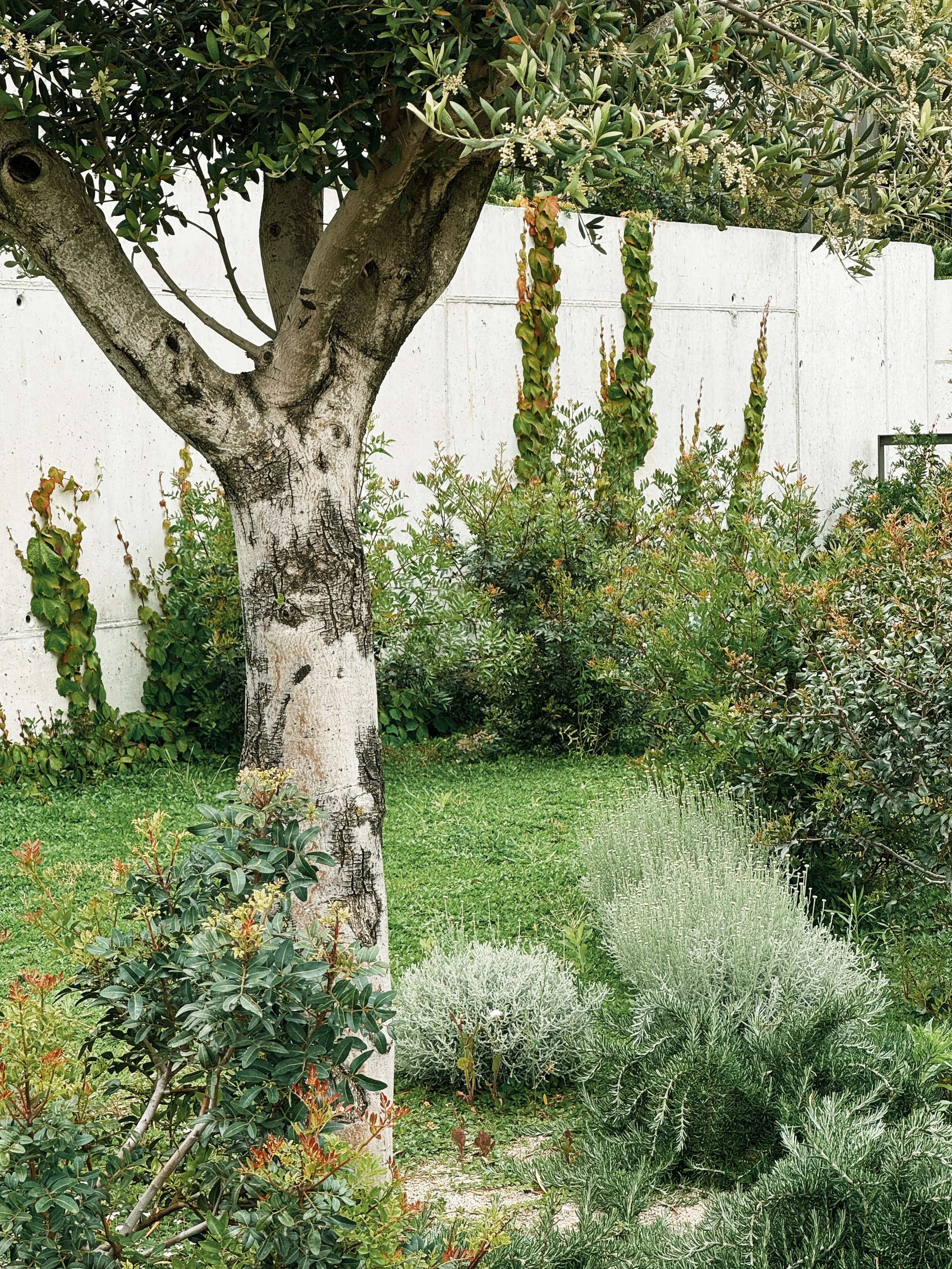 JoanMa Roig Paisajista Paisatgista Jardin Can Girona Sitges Barcelona21.jpg
