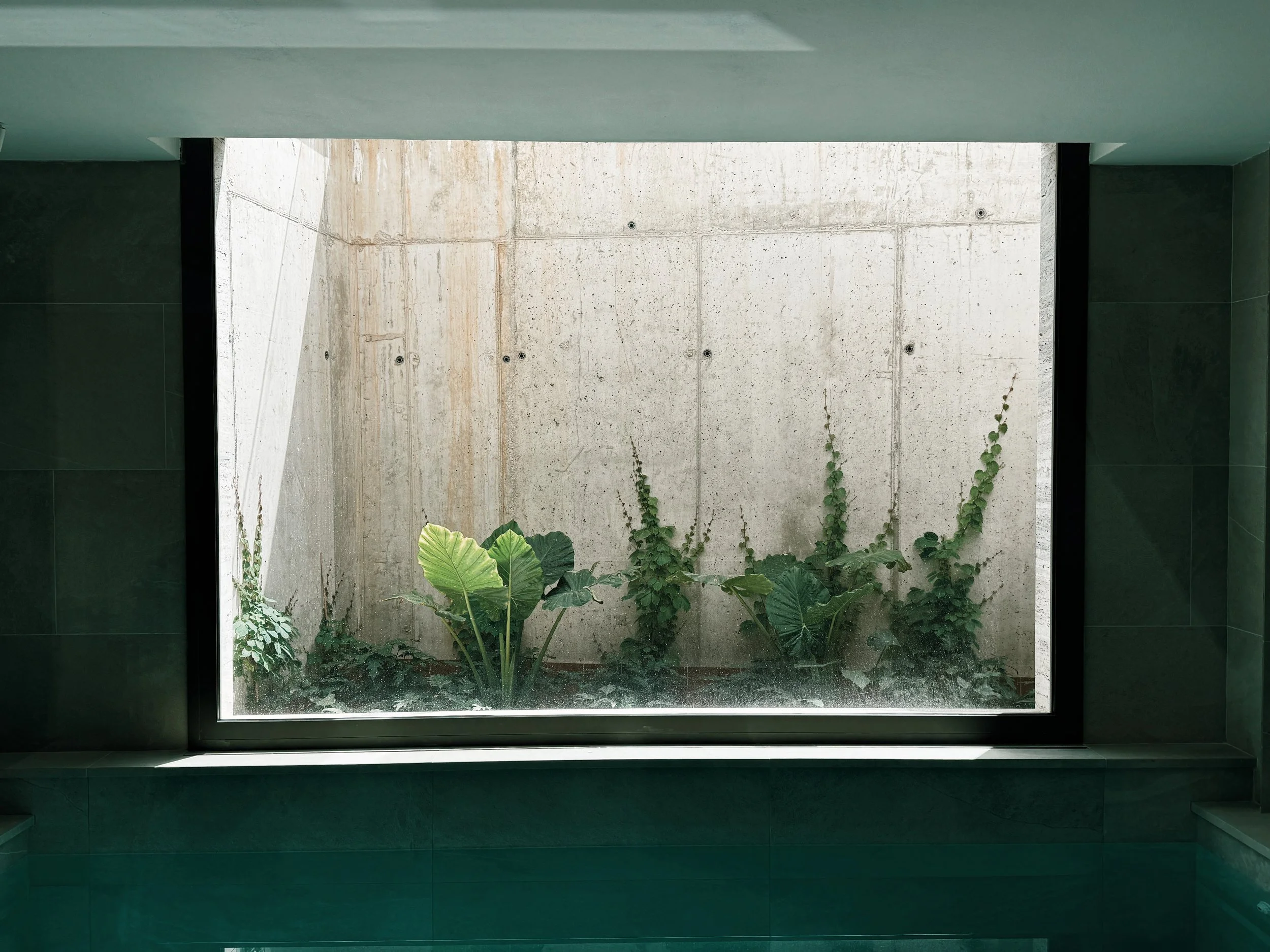 JoanMa Roig Paisajista Paisatgista Jardin Can Girona Sitges Barcelona42.jpg