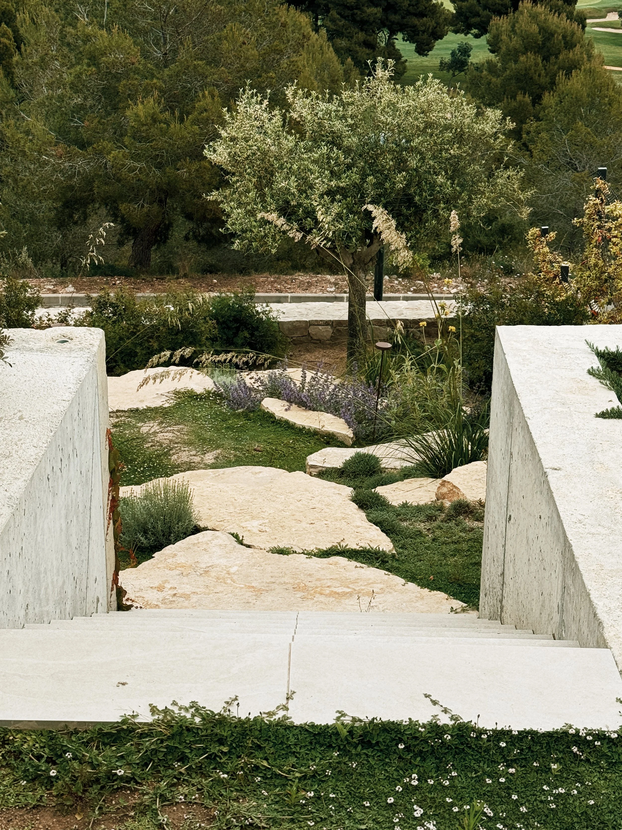 JoanMa Roig Paisajista Paisatgista Jardin Can Girona Sitges Barcelona27.jpg
