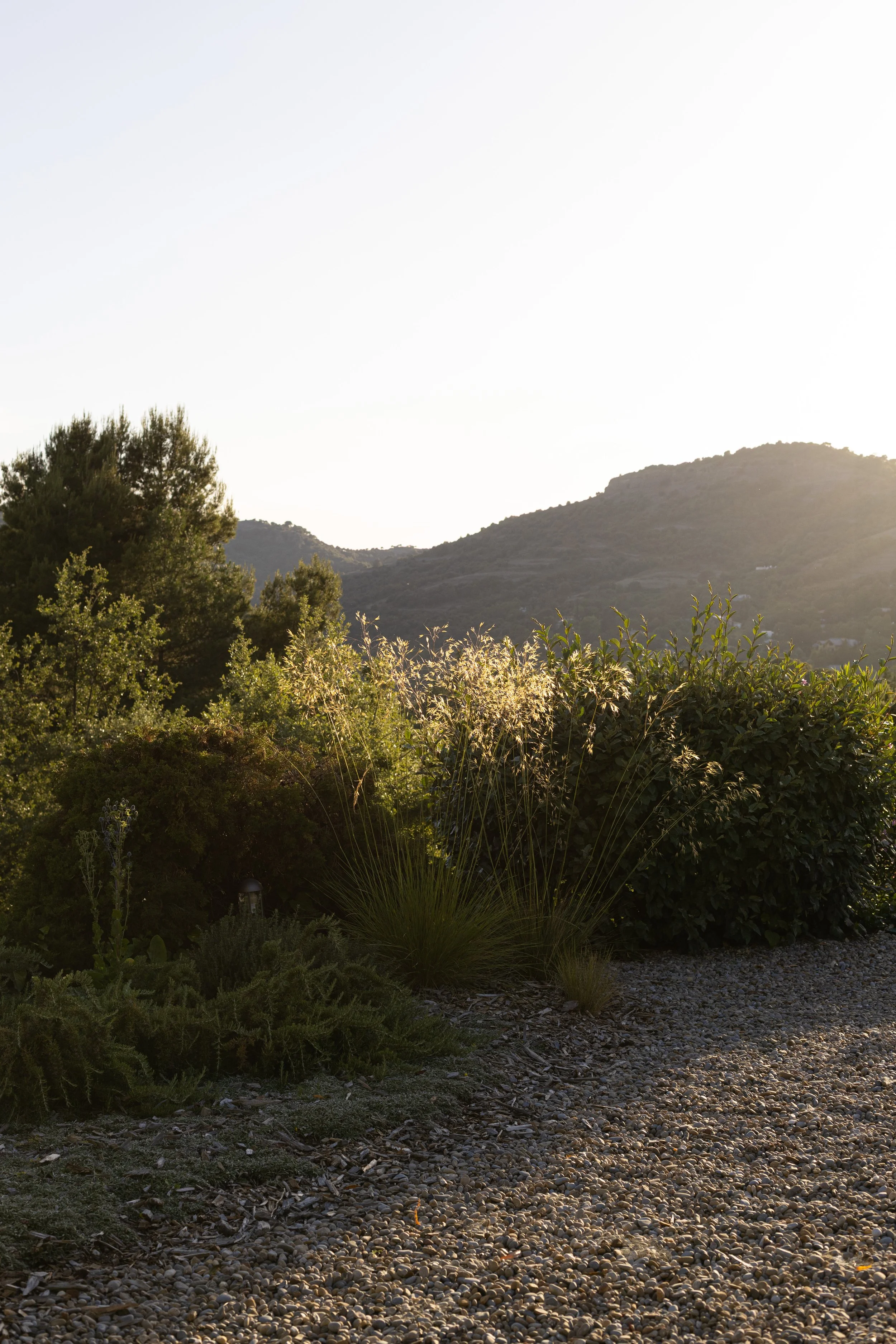 JoanMa Roig Paisajista Jardin Matadepera Barcelona18.jpg