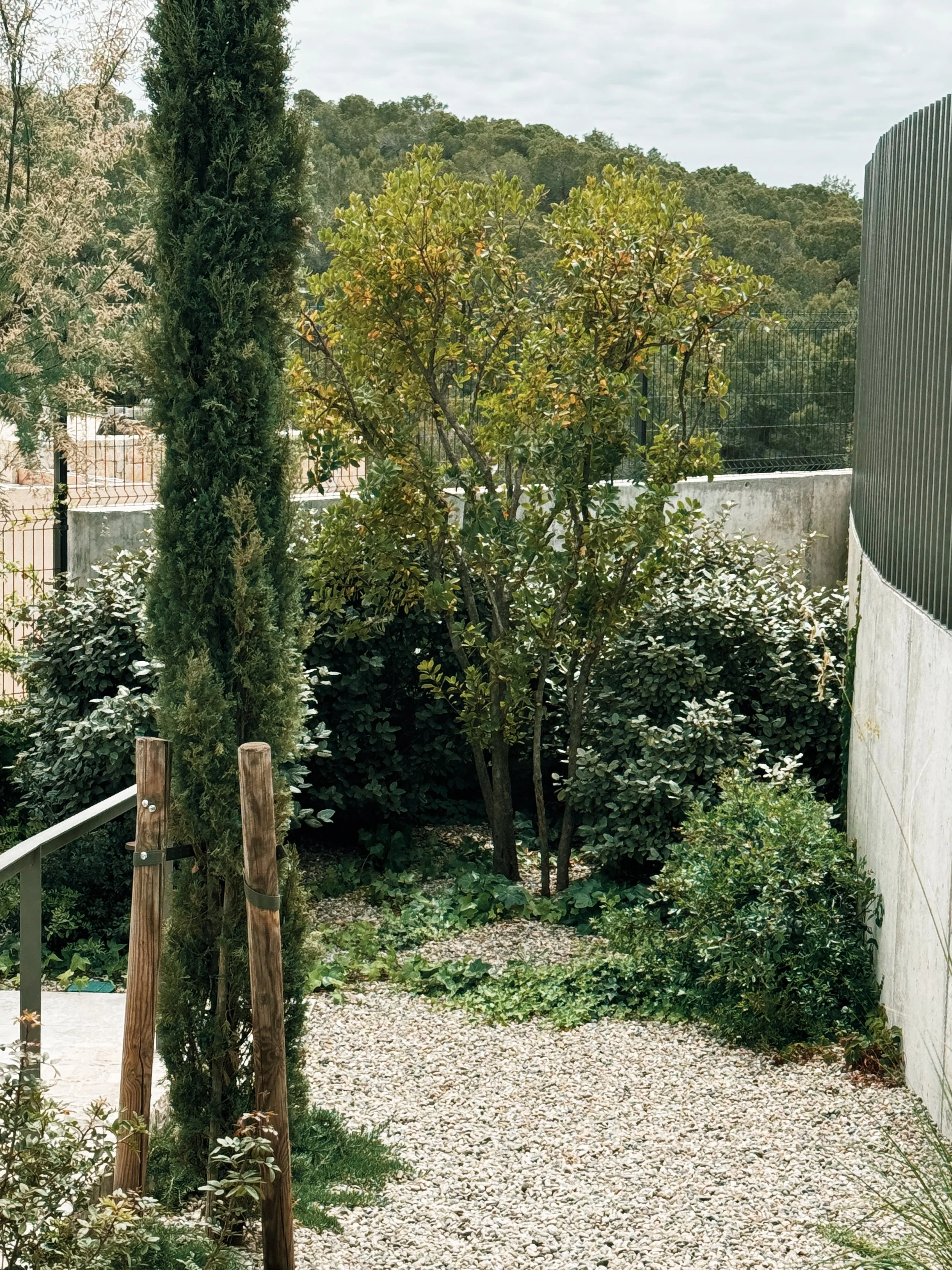 JoanMa Roig Paisajista Paisatgista Jardin Can Girona Sitges Barcelona9.jpg