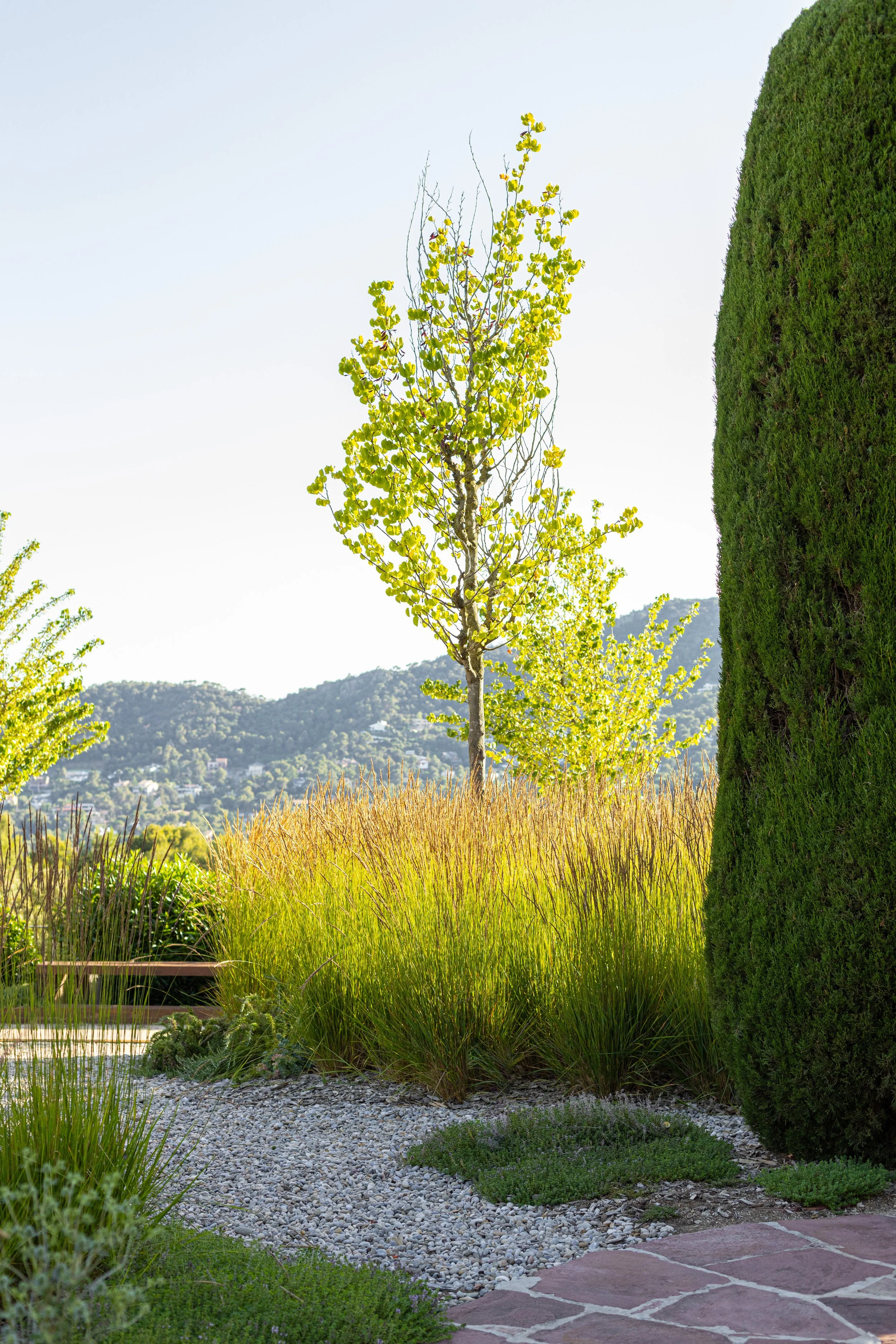JoanMa Roig Paisajista Jardin Matadepera Barcelona5.jpg