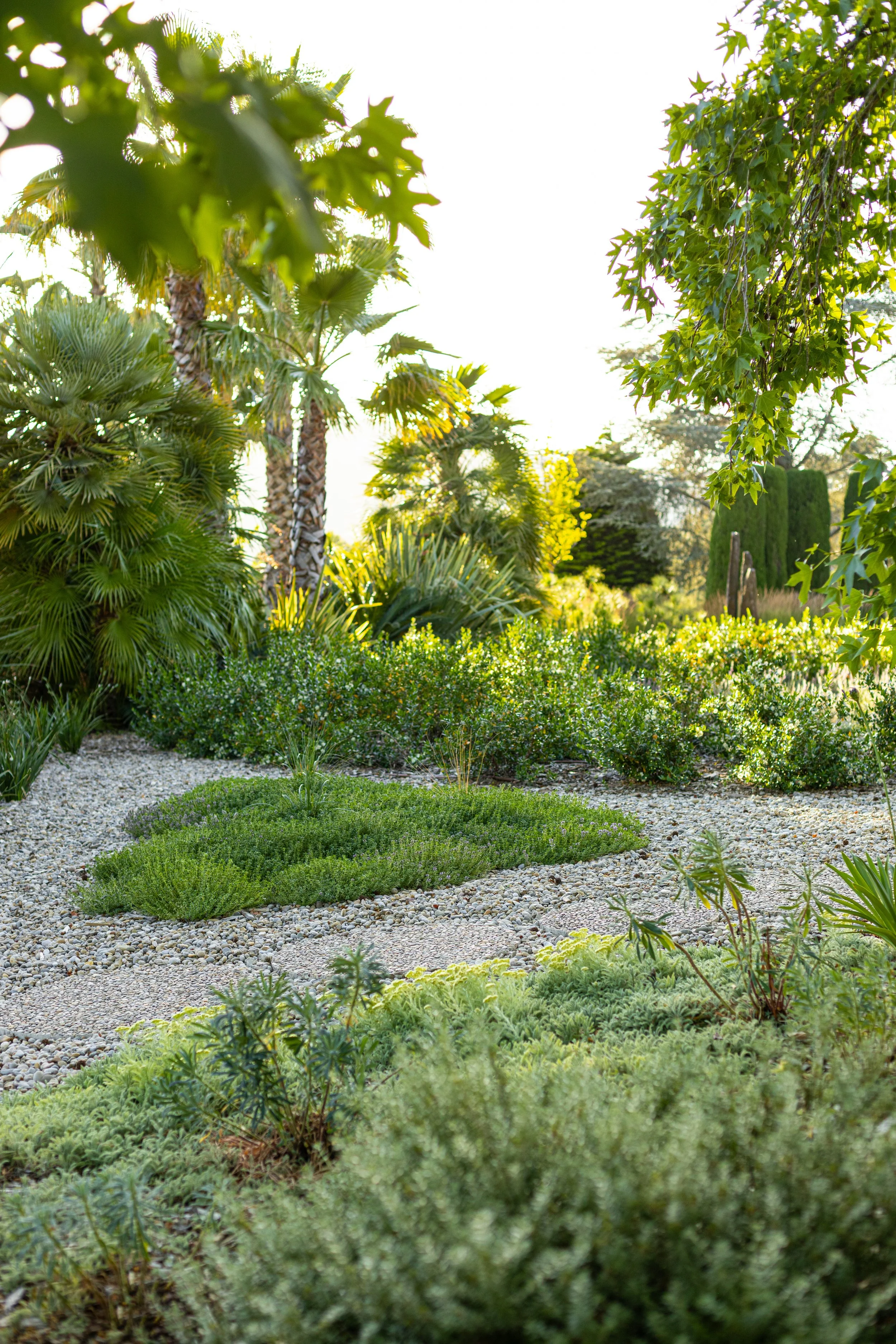 JoanMa Roig Paisajista Jardin Matadepera Barcelona34.jpg