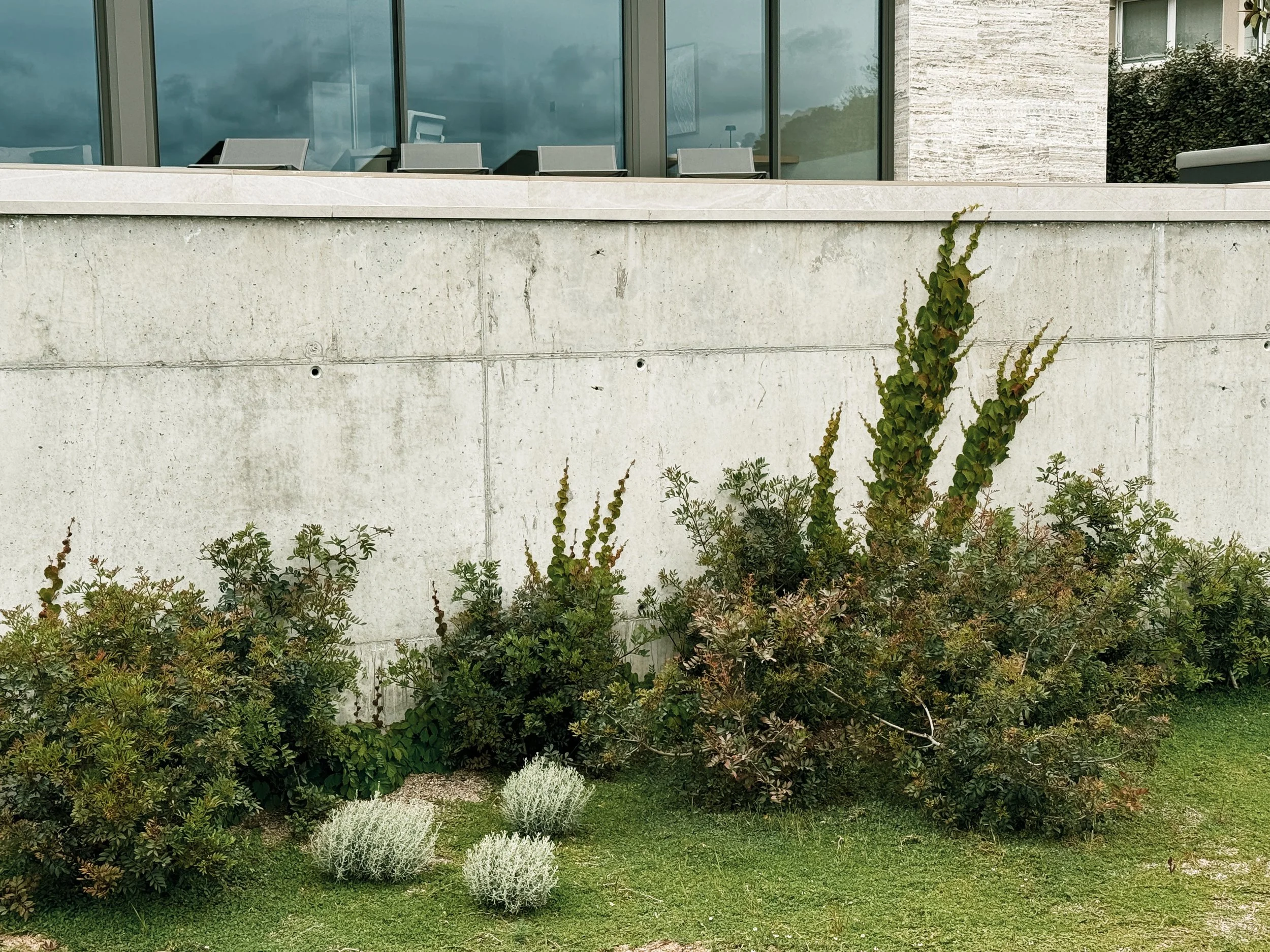 JoanMa Roig Paisajista Paisatgista Jardin Can Girona Sitges Barcelona39.jpg