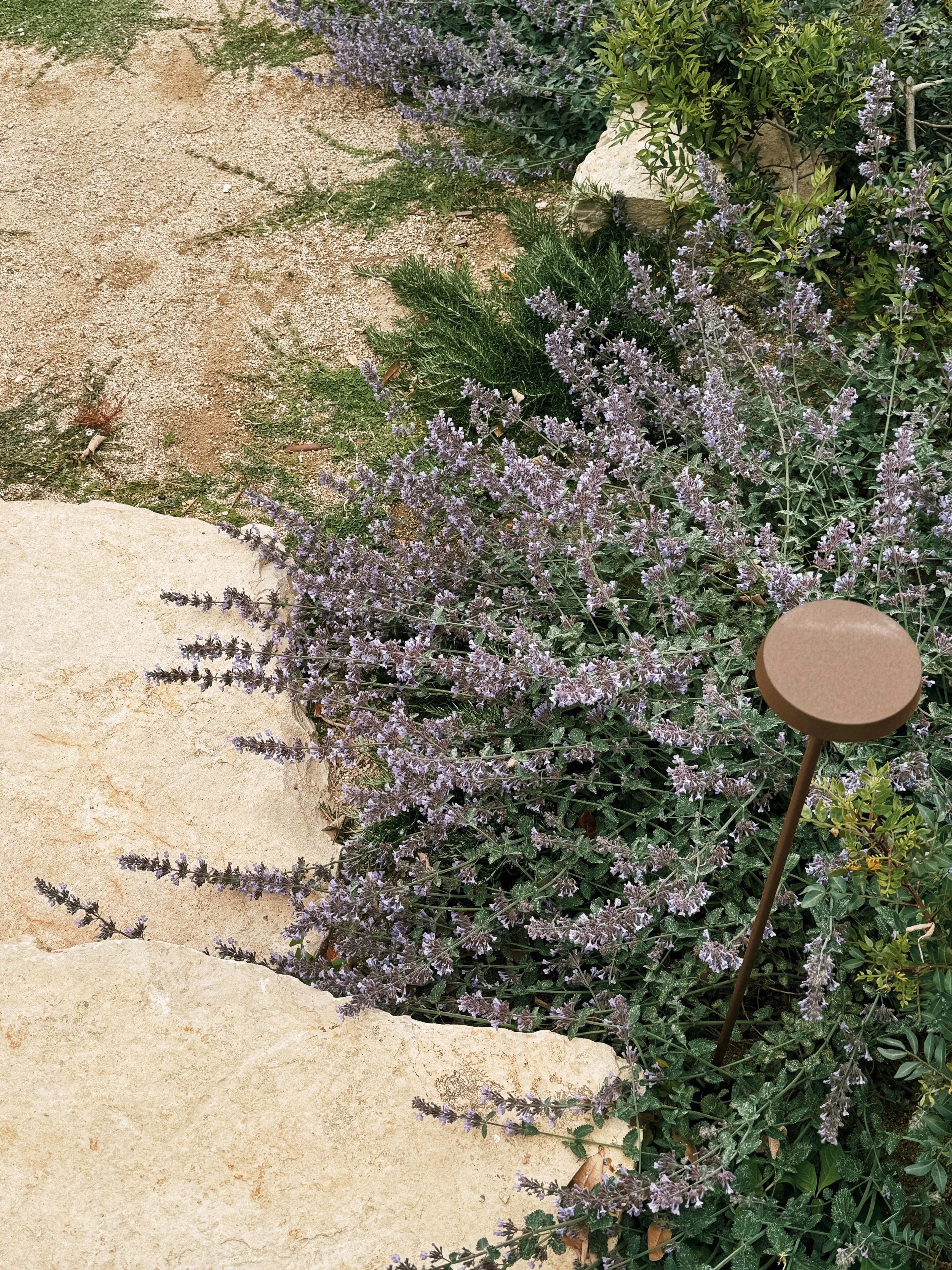 JoanMa Roig Paisajista Paisatgista Jardin Can Girona Sitges Barcelona36.jpg