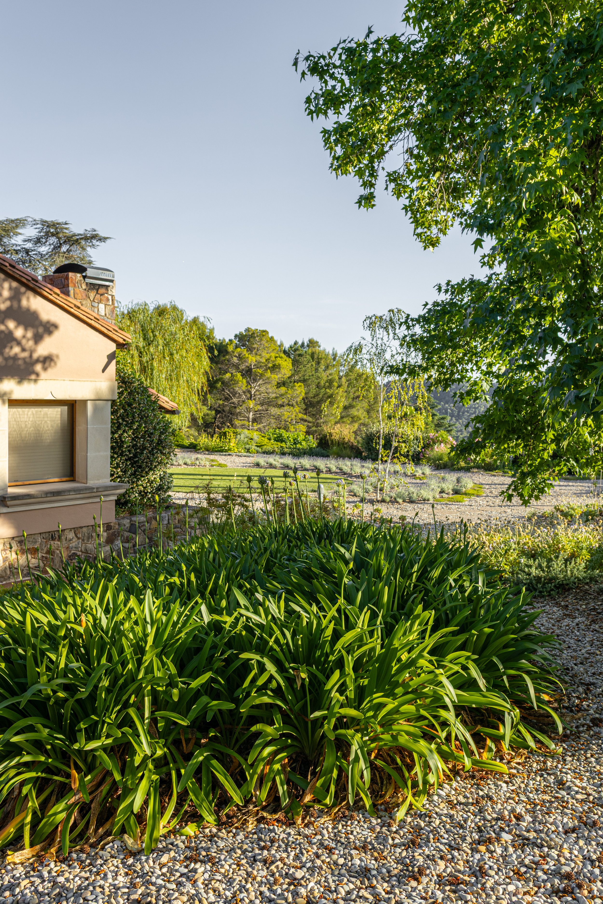 JoanMa Roig Paisajista Jardin Matadepera Barcelona9.jpg