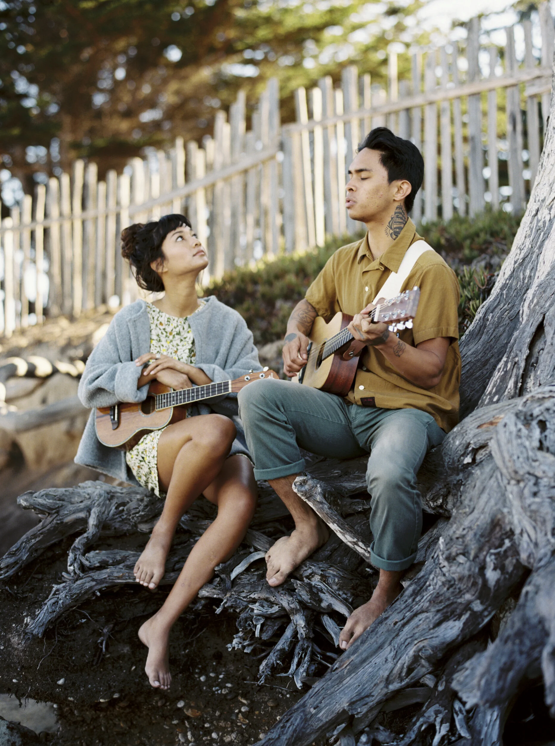 Tigers In The Sky-3.jpg