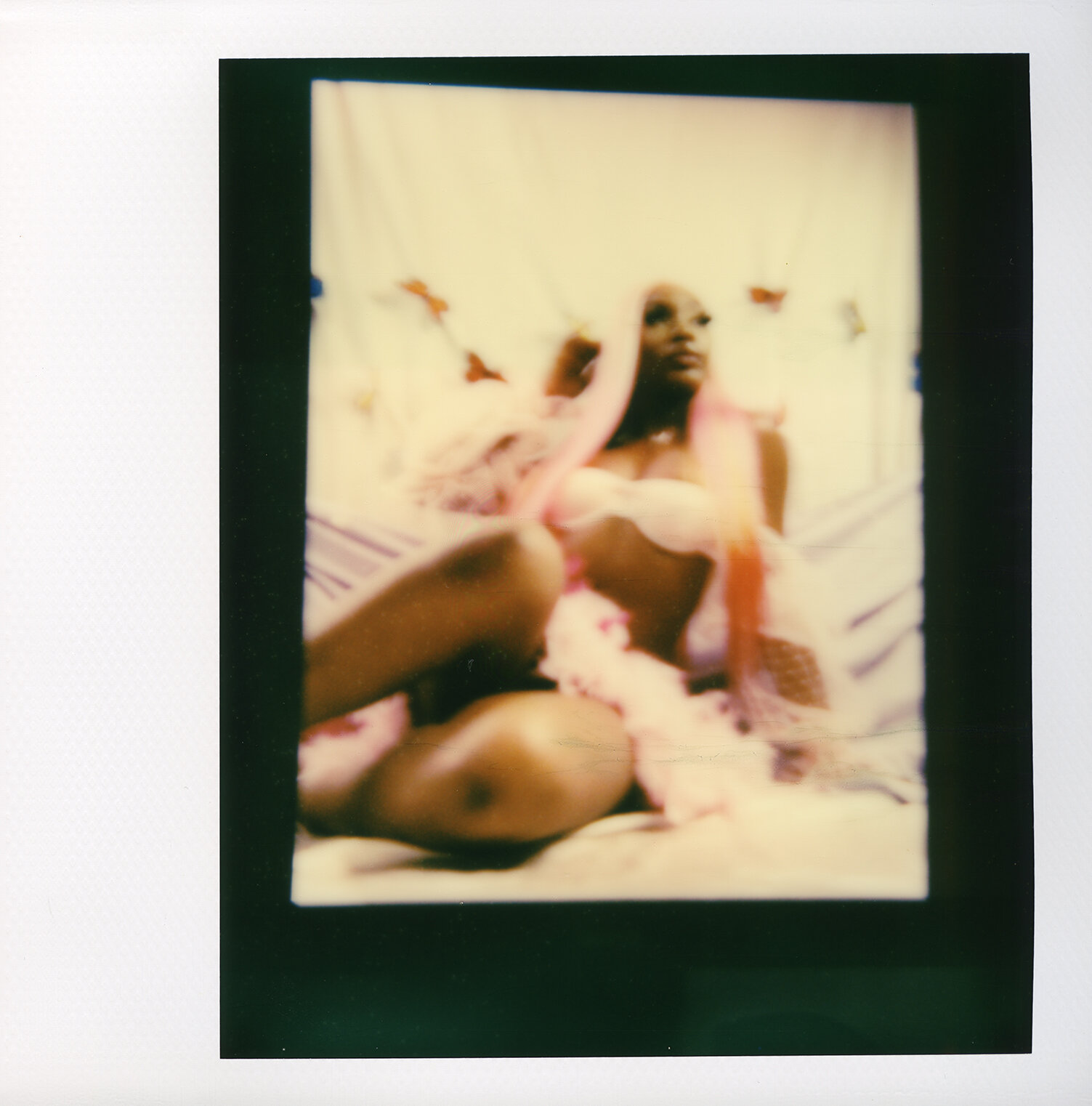 Ashley Jenning Polaroid Desnudo Tumblr