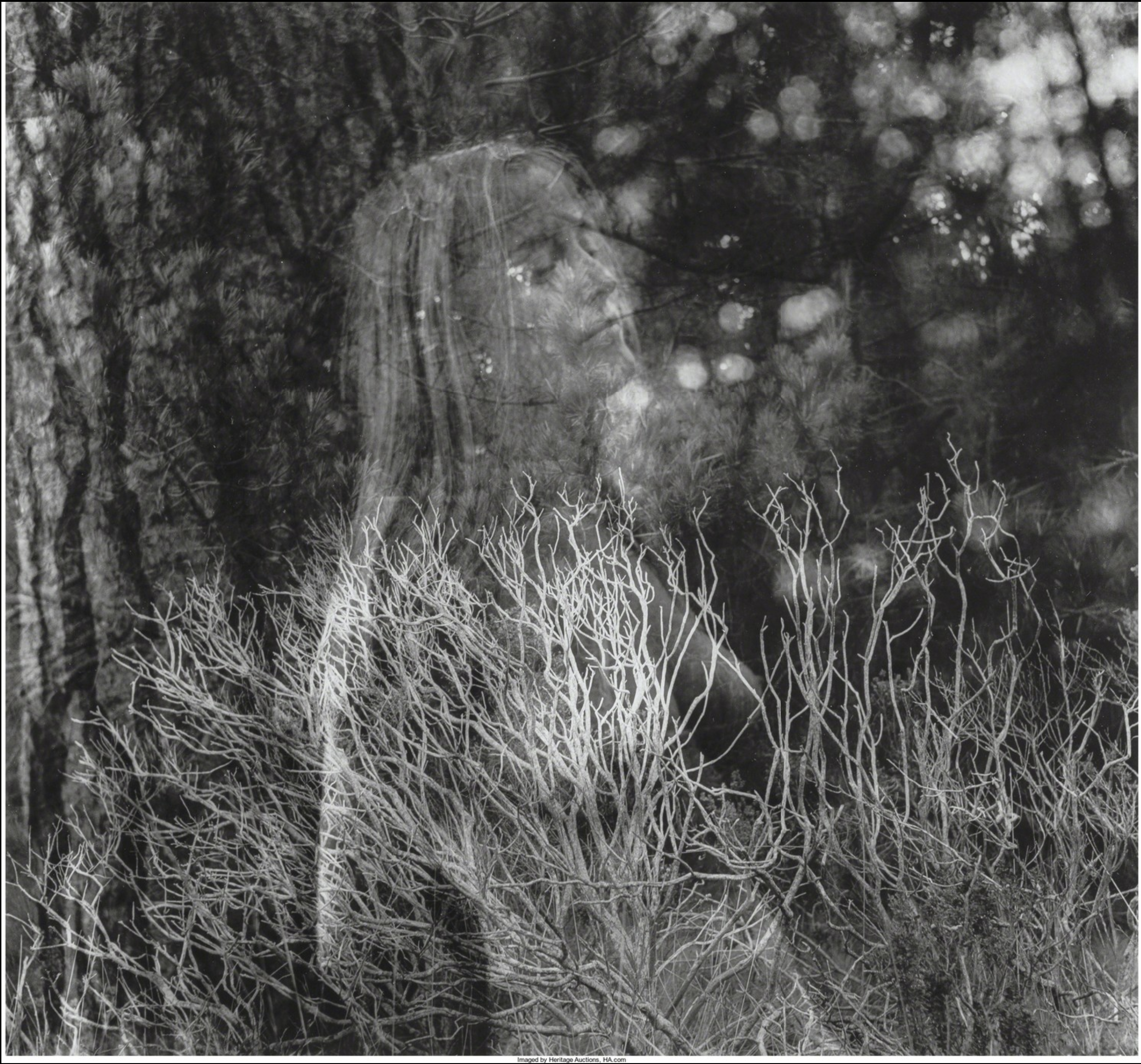 Screenshot 2020-07-25 at 13.53.48.png