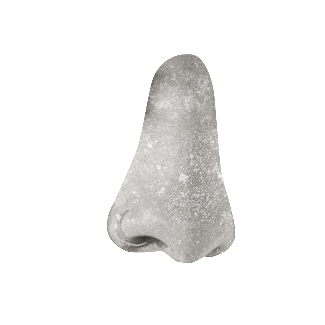 Olfato ocre.png