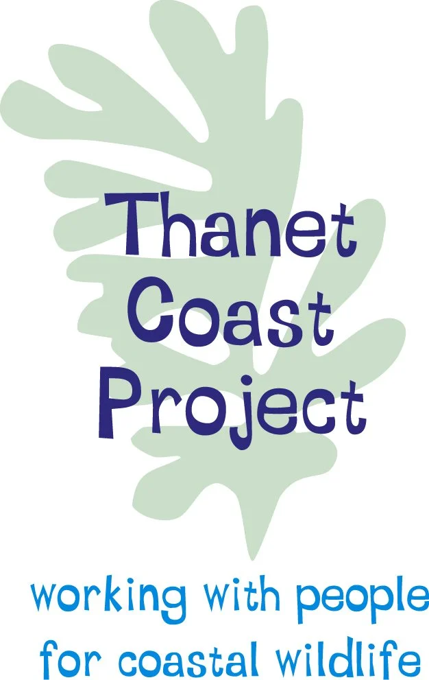 Thanet Coast Project