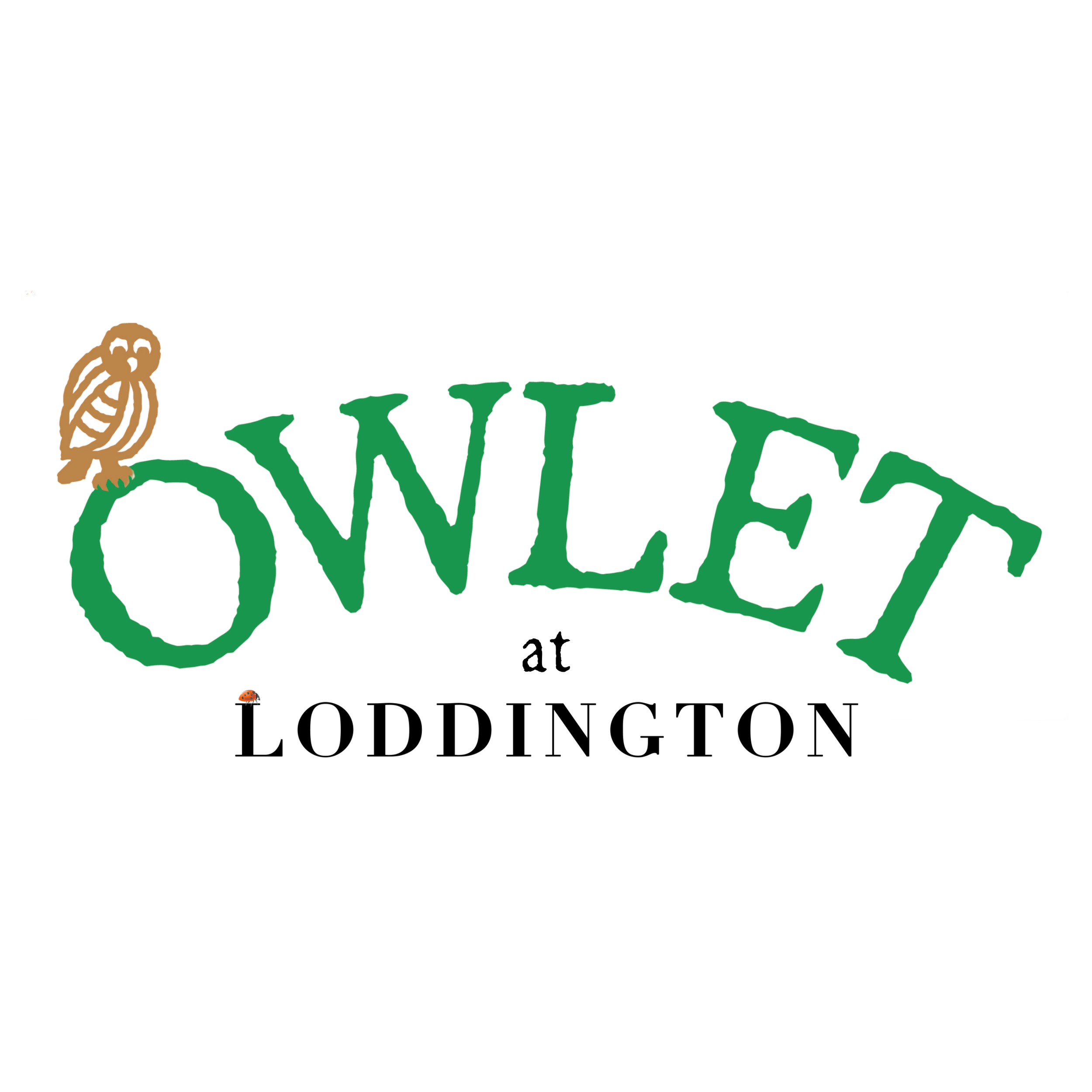 Owlet