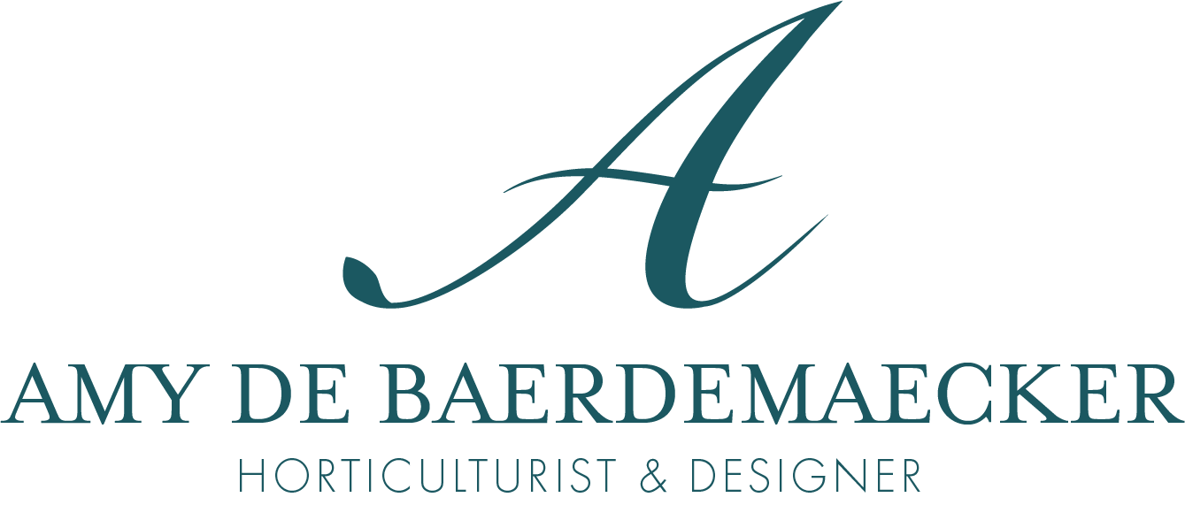 AMY DE BAERDEMAECKER