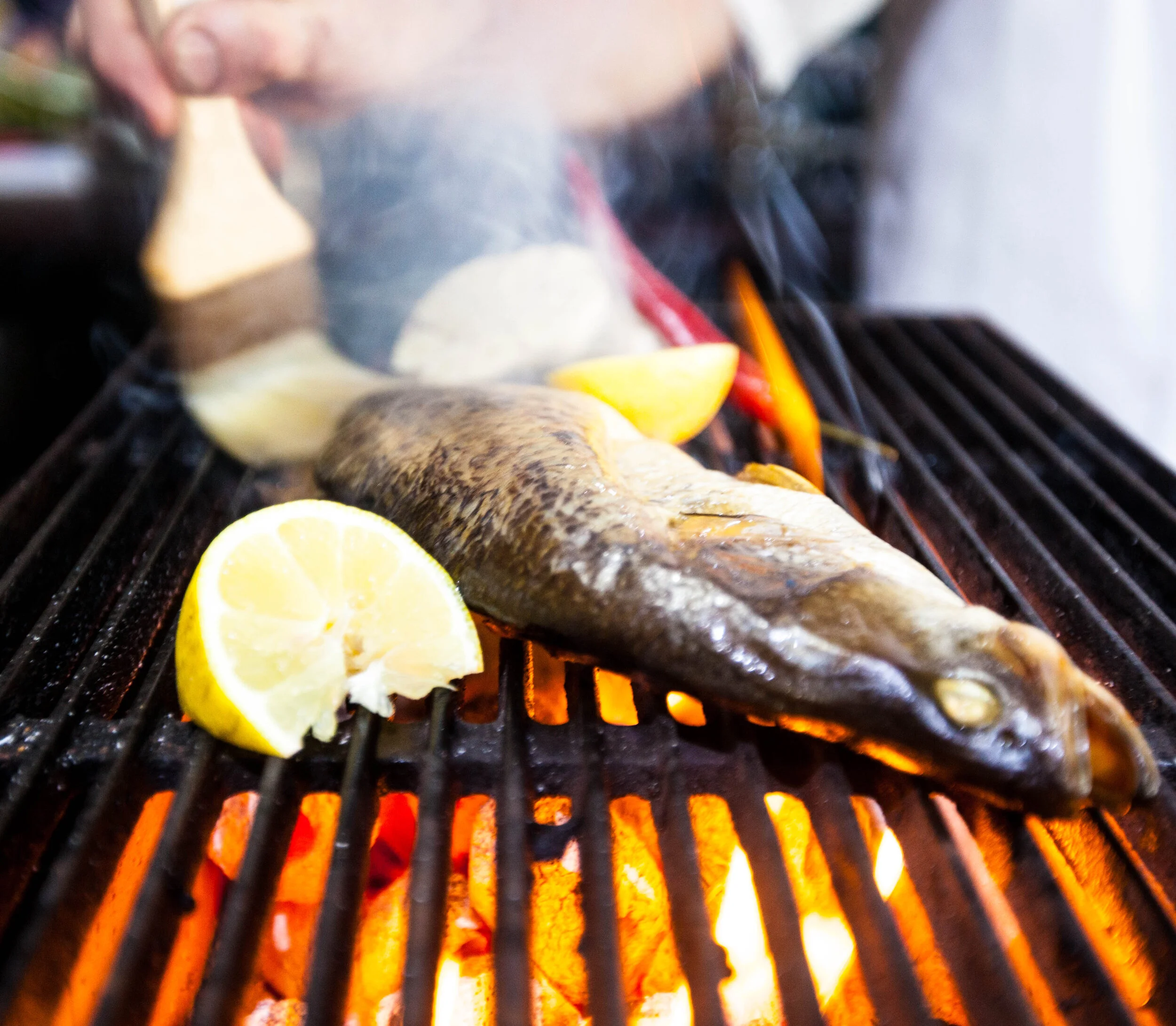 grugg and Jess fish shoot_-21.jpg
