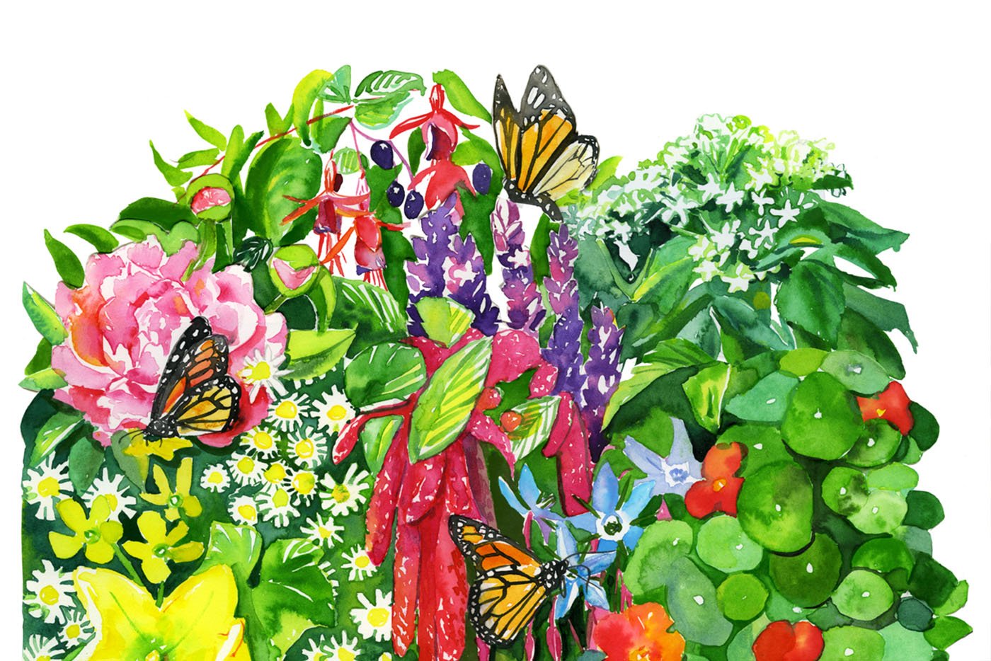 Plants