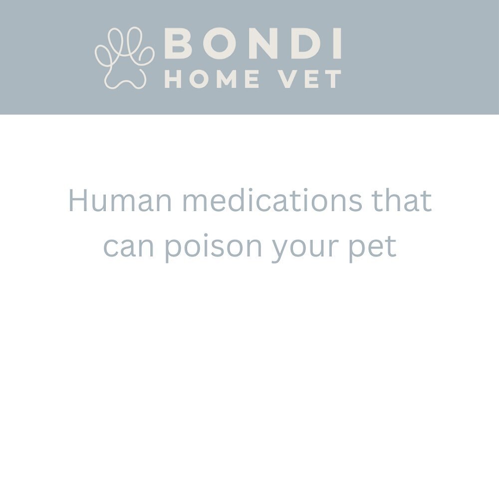 Swipe left. 🐶🐱
.
.
.
#vet #veterinary #pet #poison #dogsofinstagram #dogsofaustralia #sydneydogs #catlover #catsofinstagram