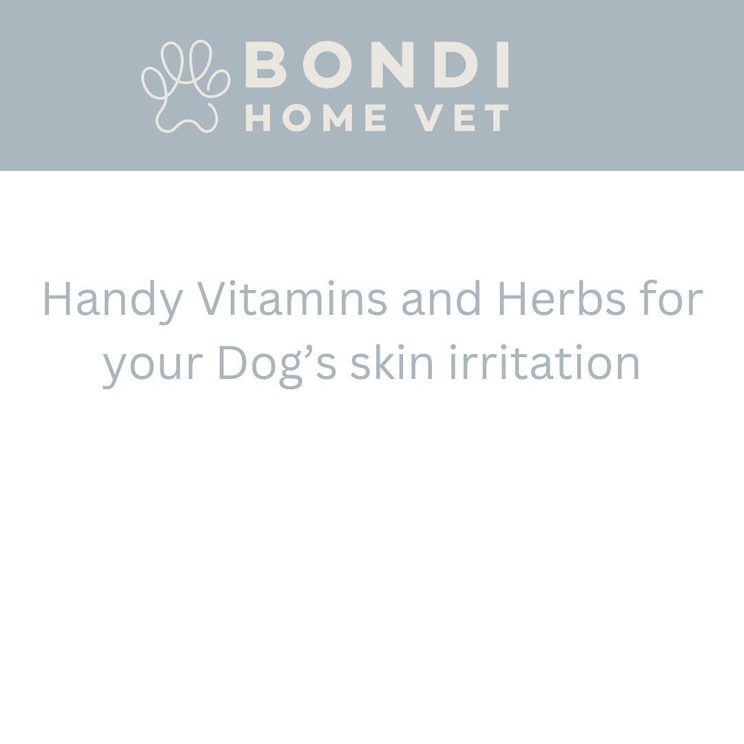 Swipe left&hellip; 🐶
.
.
.
#vet #veterinary #holistichealth #animallovers #remedies #itchyskin #natural #dog #dogsofinstagram #dogsofaustralia #doglove #healthylifestyle