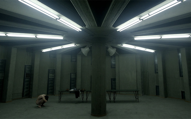 The Flaw (2026)