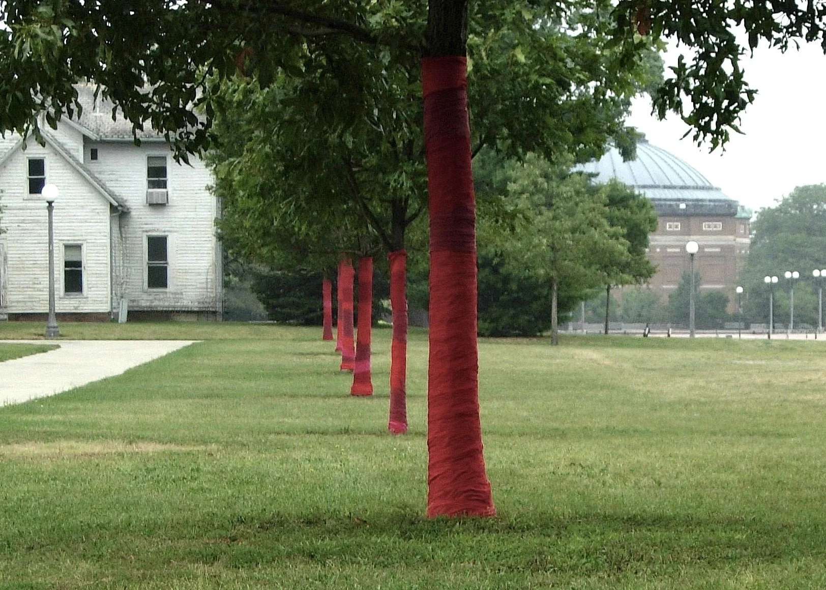 18. Sense of Wonder, 2007, Fabric, Dimensions Variable 2.jpg