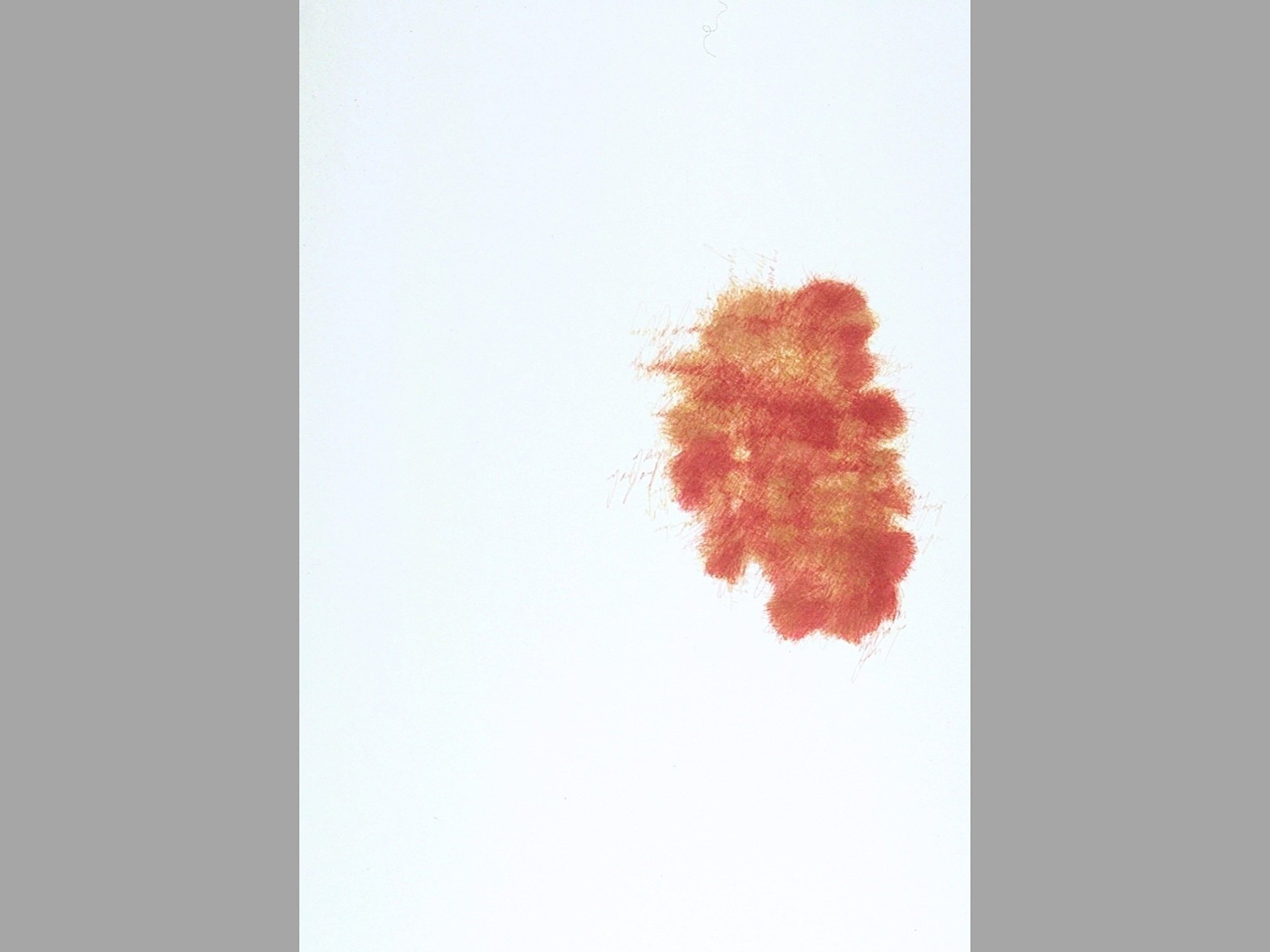 Copy of Copy of Untitled.jpg
