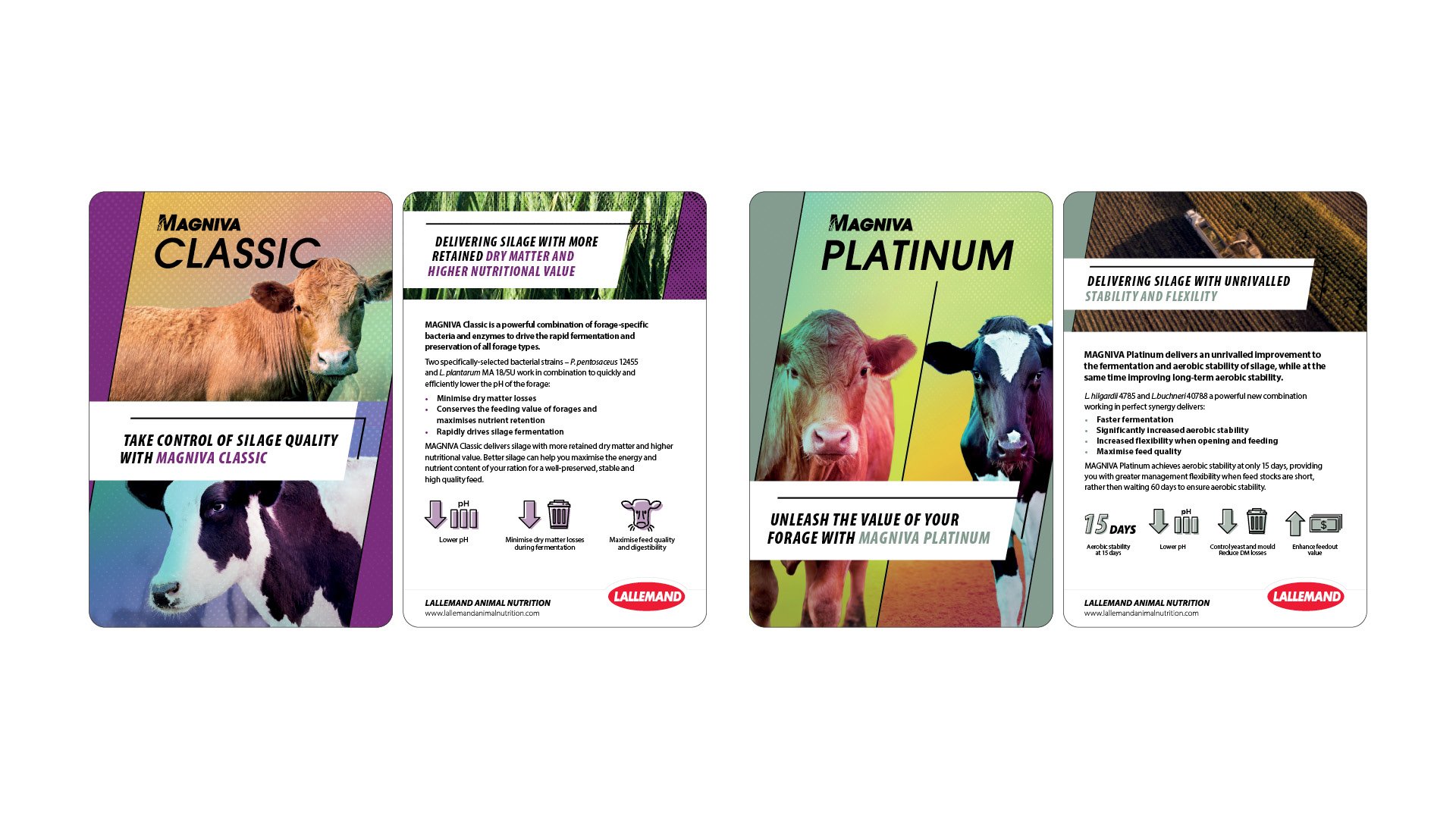 10 Lallemand Direct Mail 1920x10803.jpg