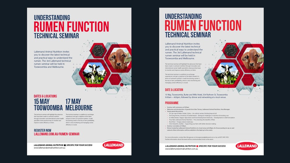 Lallemand Rumen Seminar Poster 1920x1080px.jpg