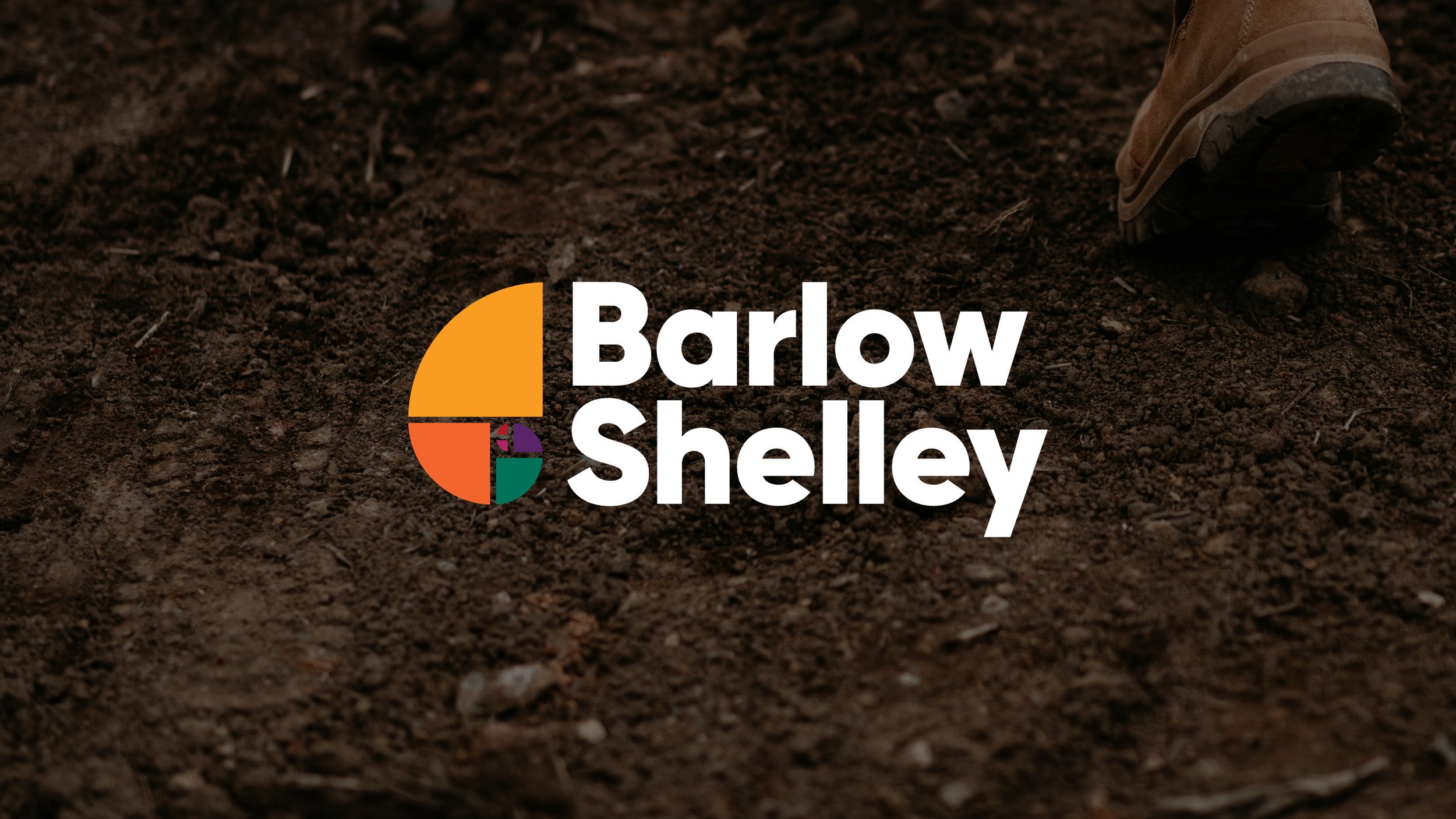 11 Barlow Shelley Brand 1920x1080px.jpg