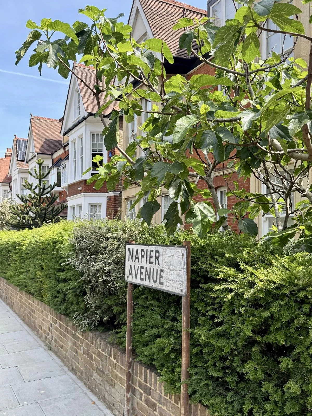 A street sign on a rusty pole reading 'NAPIER AVENUE' situated along a sidewalk, with lush green bushes, a tree, and red-brick residential houses with white window frames in the background on a sunny day.
