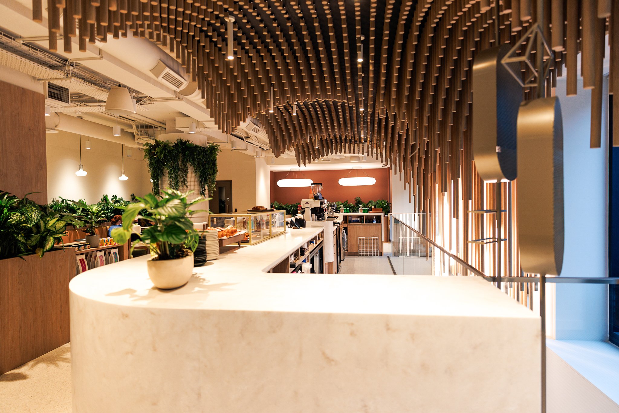 A modern cafe or coffee shop interior with a curved white countertop, green plants, wood accents, and decorative hanging wooden elements ceiling.