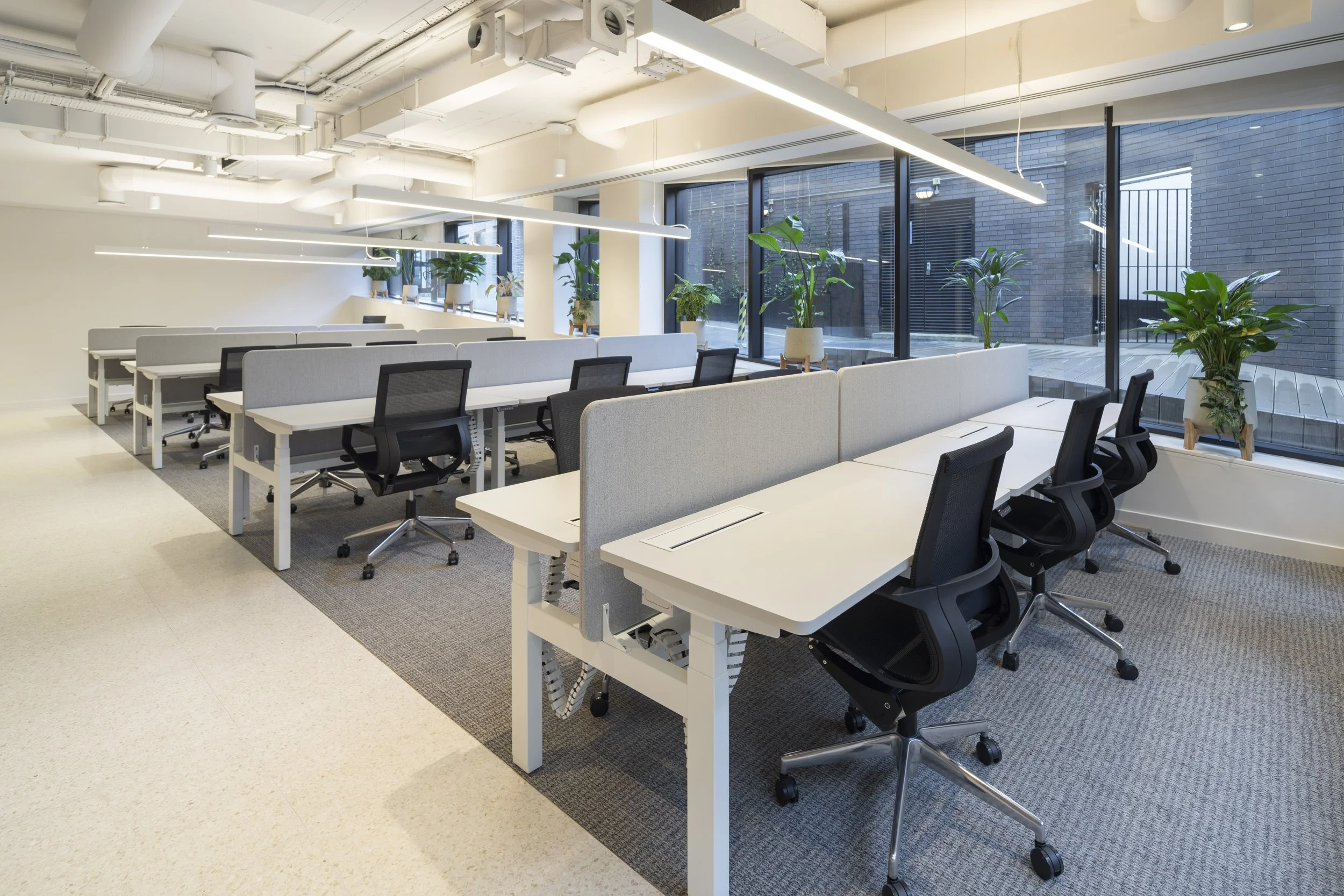 Modern office space with white desks, black office chairs, and large windows with potted plants.