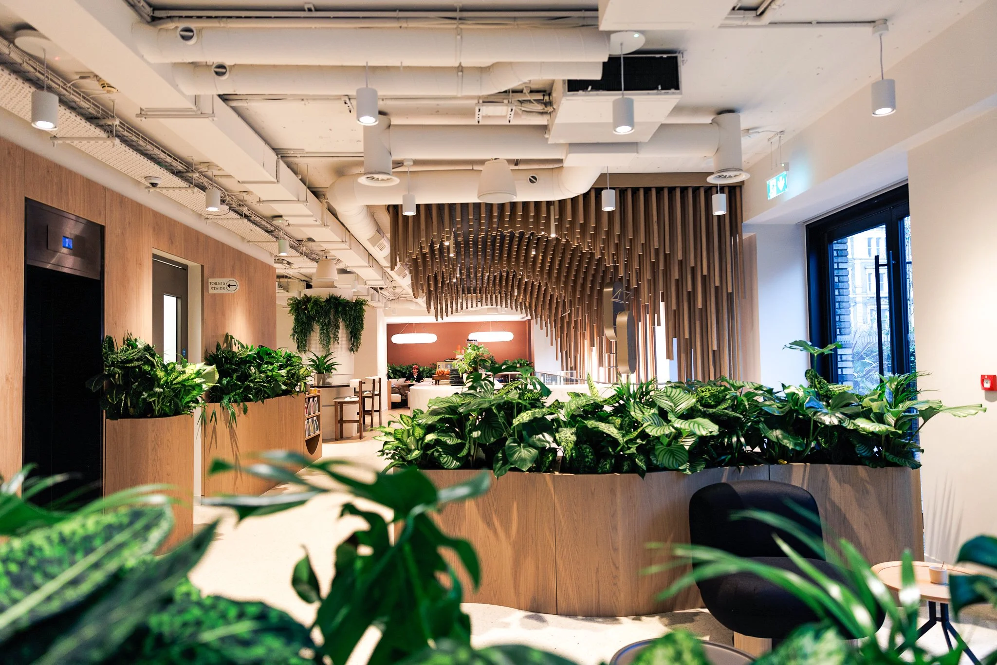 Modern office lobby with green plants, wooden panels, and hanging ceiling lights.