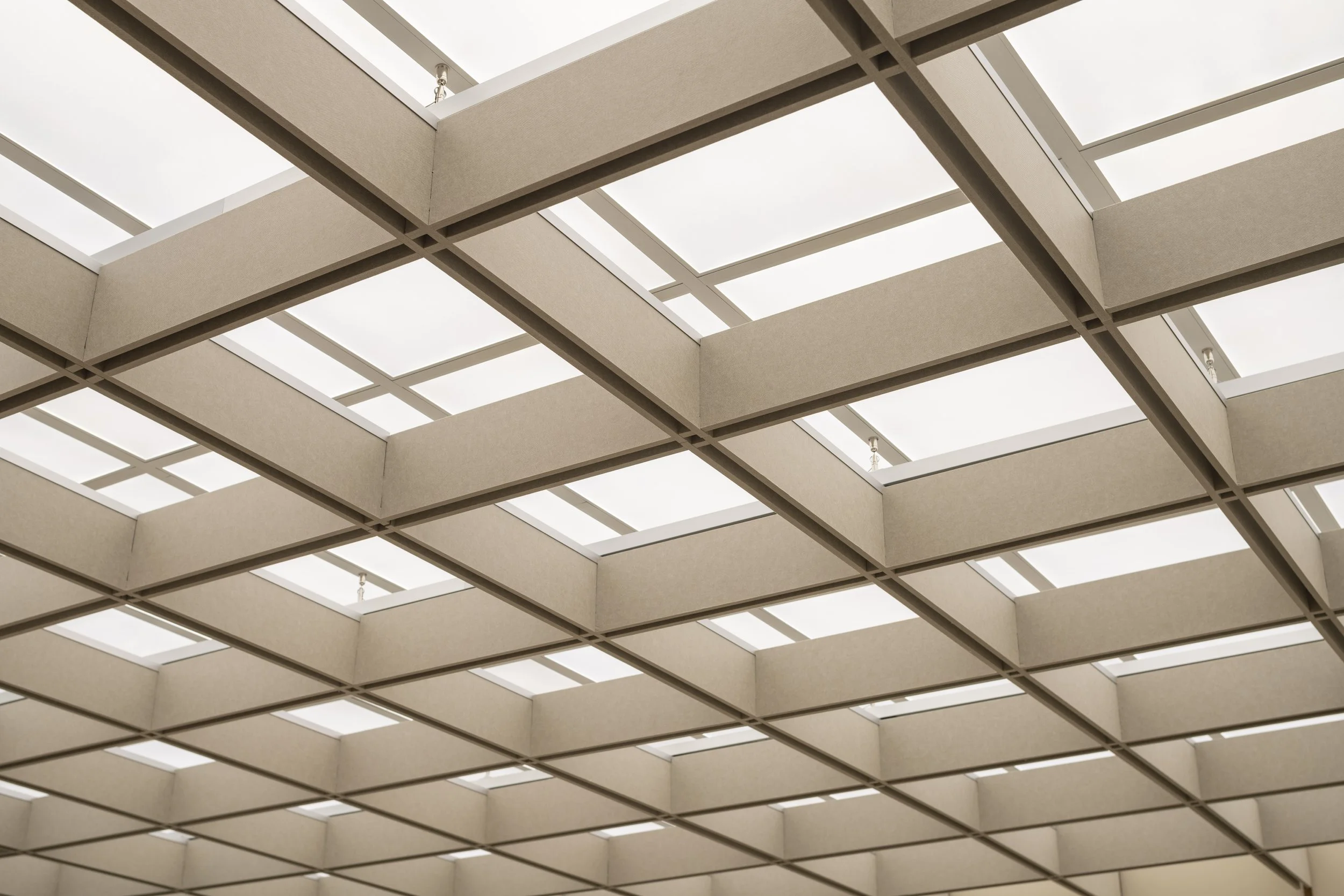 Ceiling with a grid pattern of beige acoustic panels and translucent skylights.