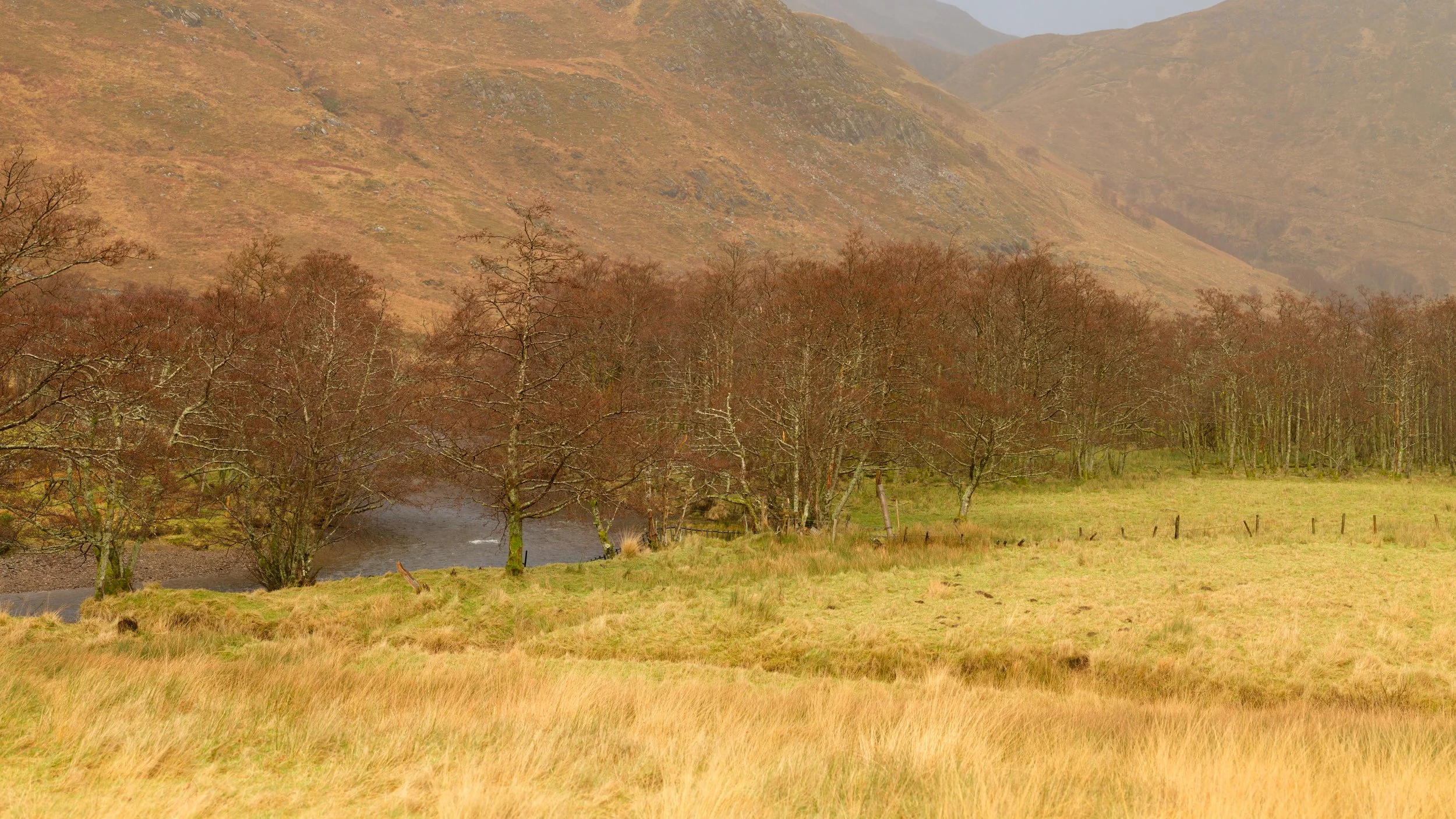 100S9355-Edit.jpg
