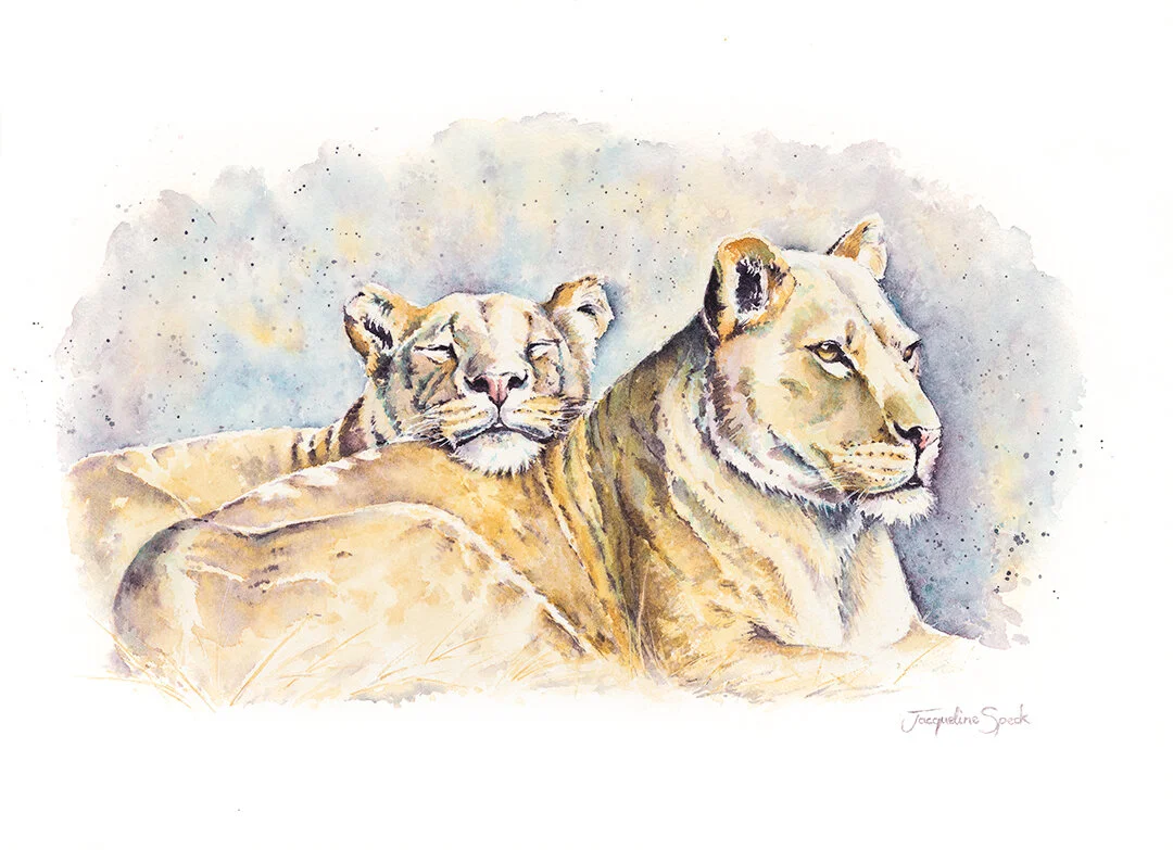‘Forty Winks’ - Lions - Watercolour- Donated to Sketch for Survival by invitation 2020 - SOLD