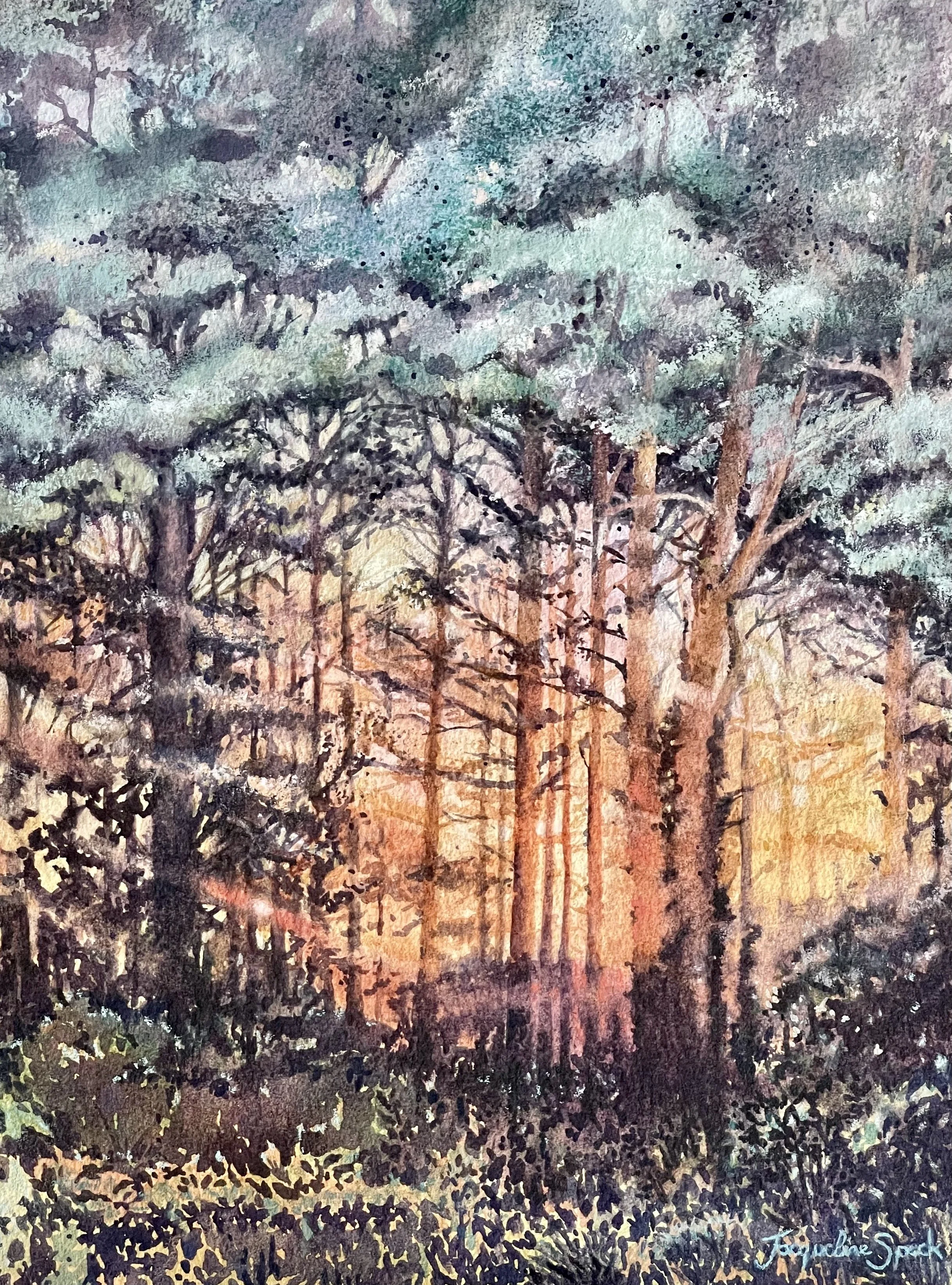 ‘Sunset and pines’ - Watercolour Commission