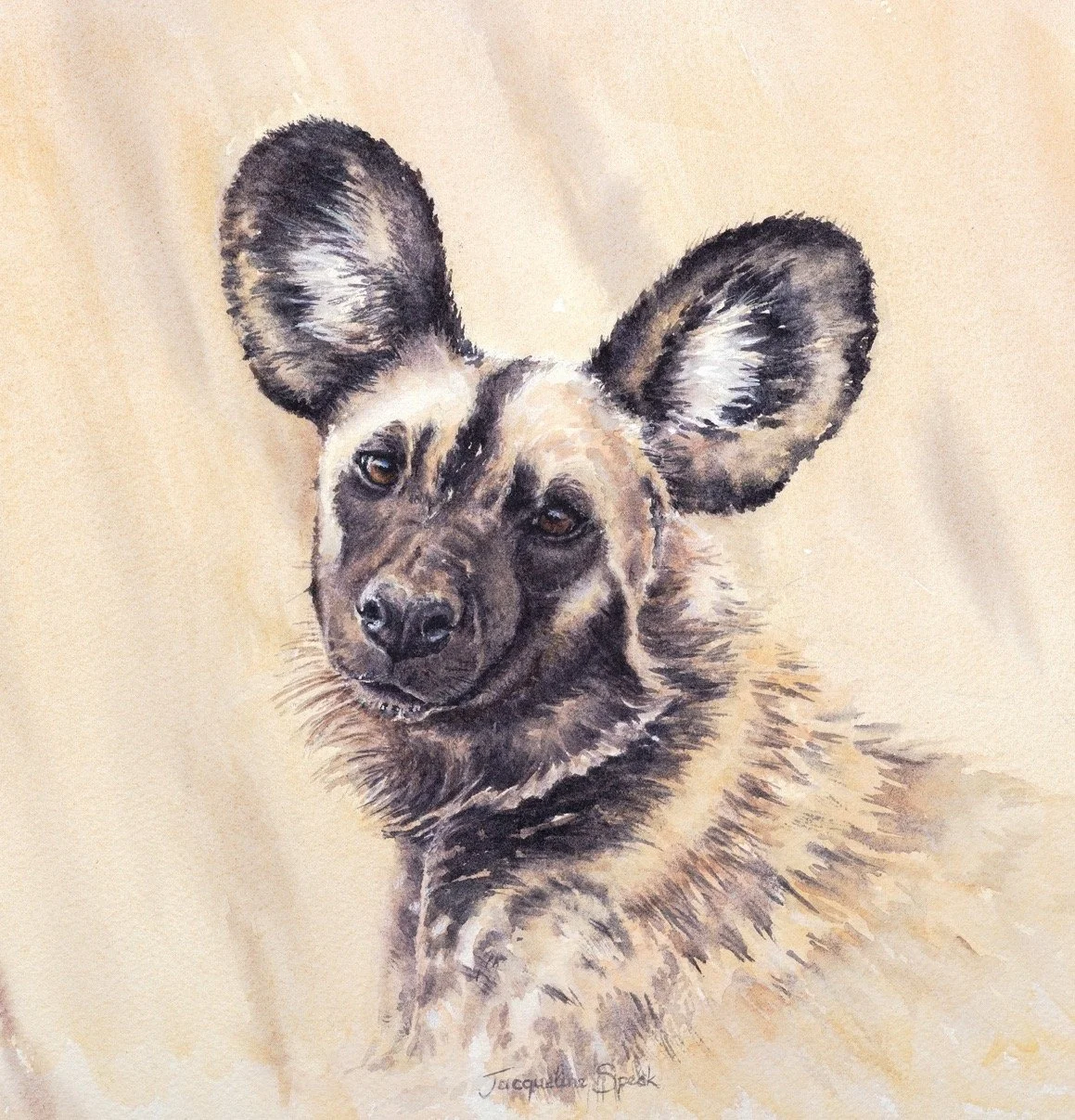 ‘Soulful Gaze’ - Painted Dog - 50% donation to AFPD-Artists for Painted Dogs
Special Limited Edition Prints £35 click on image