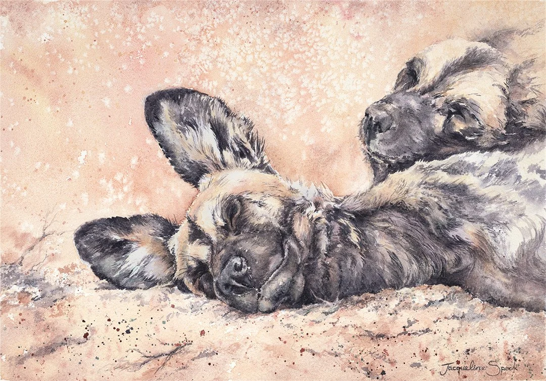 ‘Dreaming’ - Watercolour £240 - 50% to ‘Africa Wildlife Art’ Charity (tap on image to take you there)