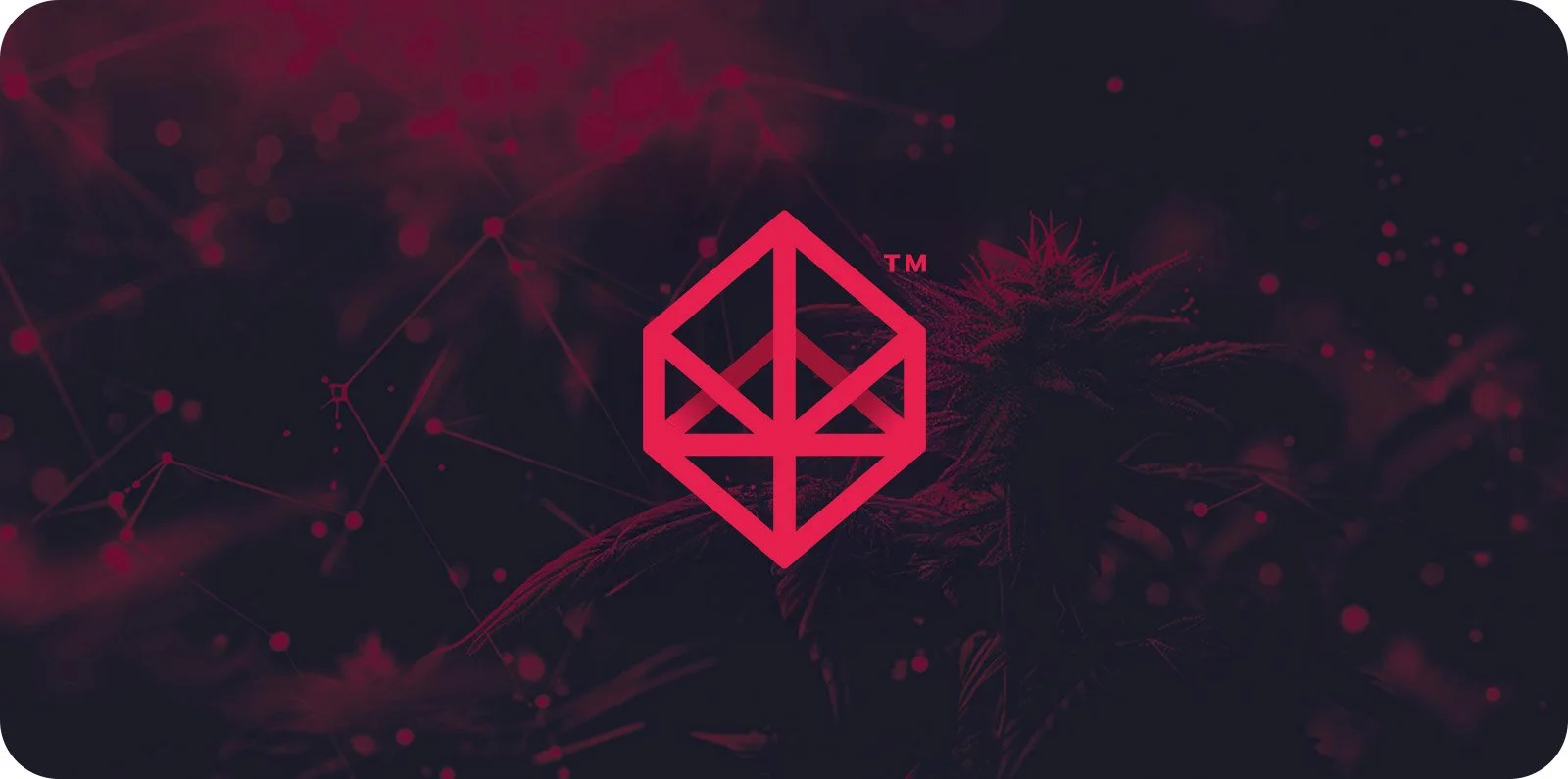 Databis Logo - Barnard Design Co